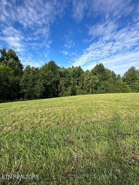 Knob Creek Road Wartrace TN