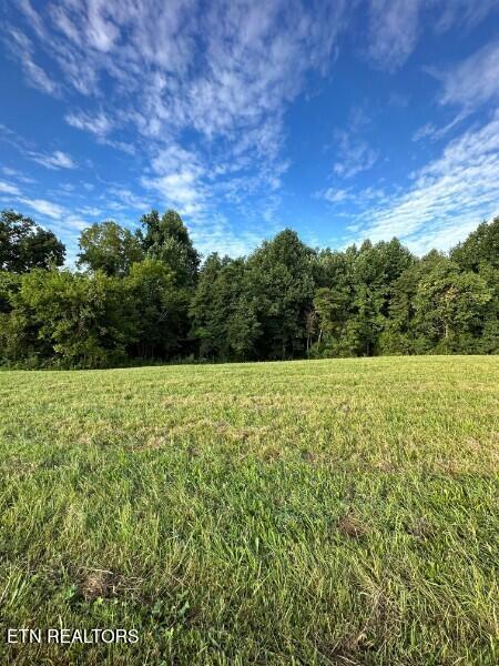 Knob Creek Road Wartrace TN