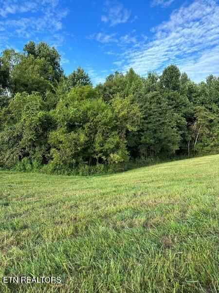 Knob Creek Road Wartrace TN