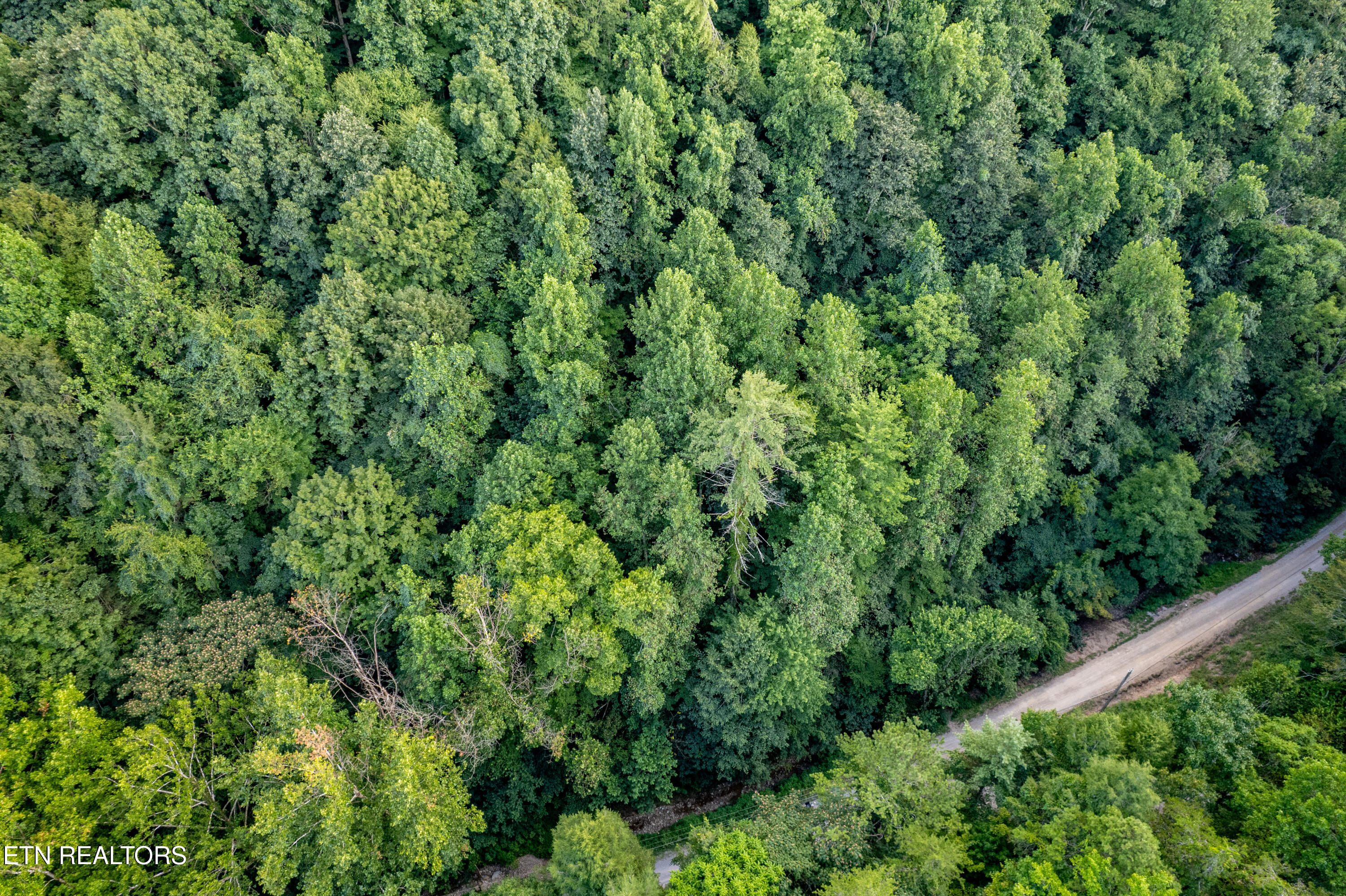 Hidden Hollow Way Sevierville TN 37862