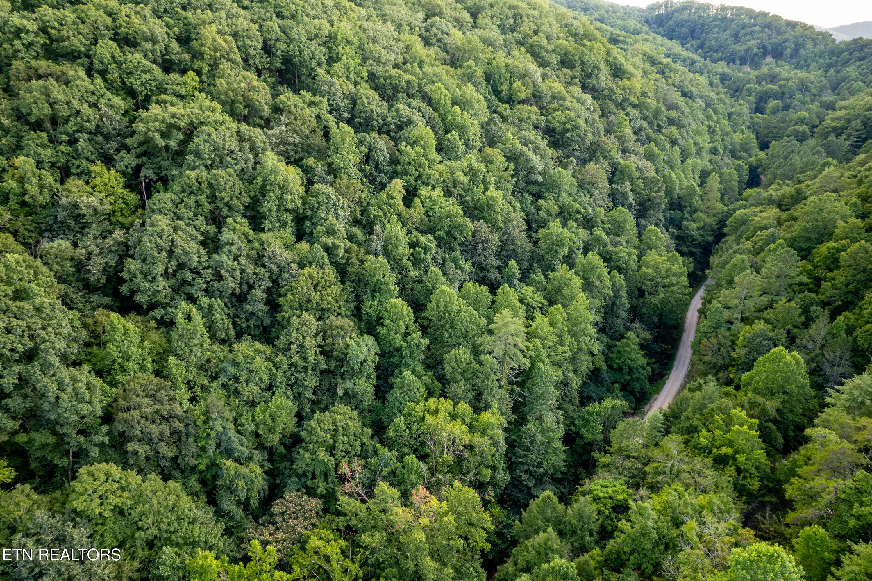Hidden Hollow Way Sevierville TN 37862