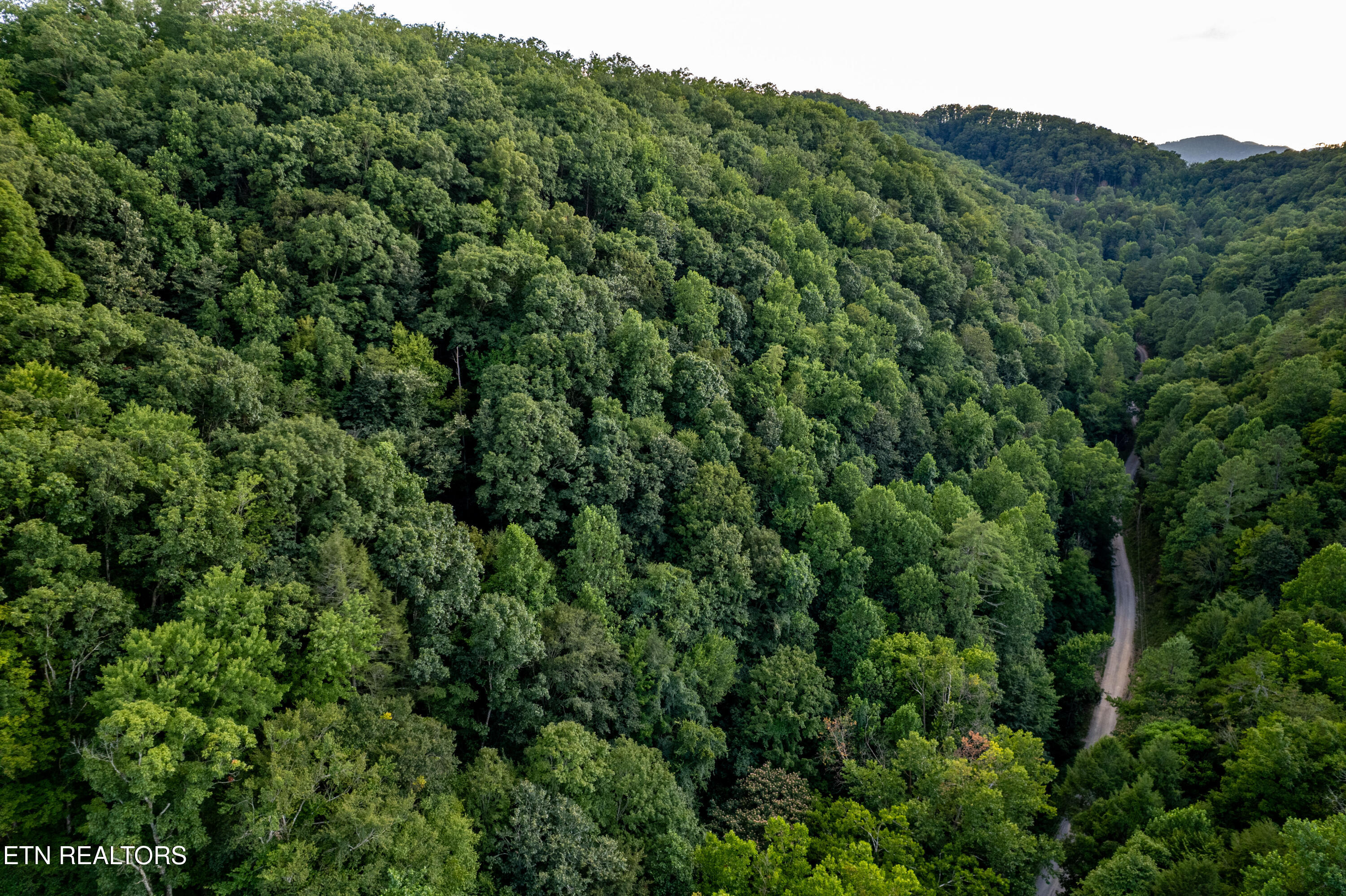 Hidden Hollow Way Sevierville TN 37862