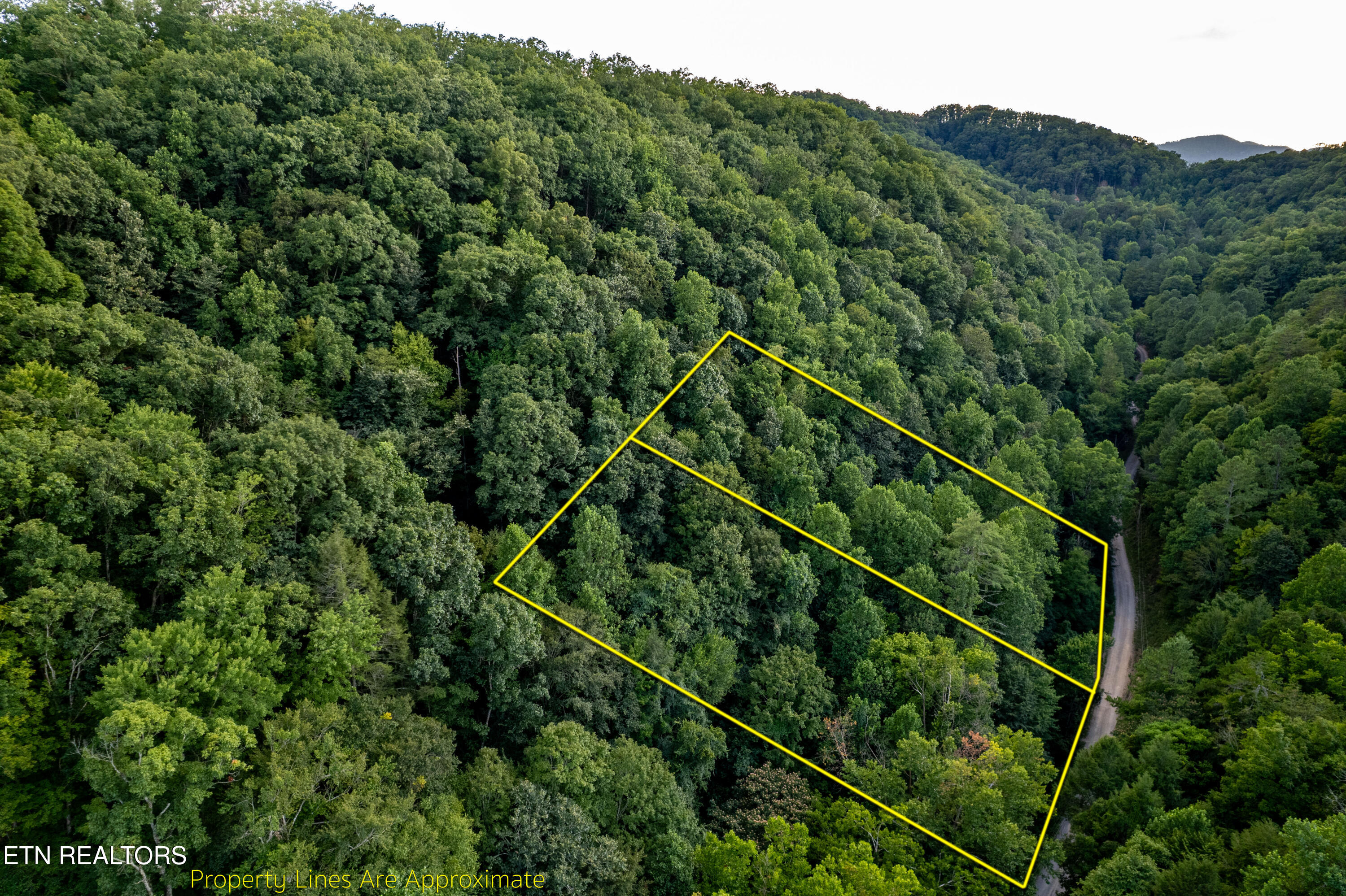 Hidden Hollow Way Sevierville TN 37862