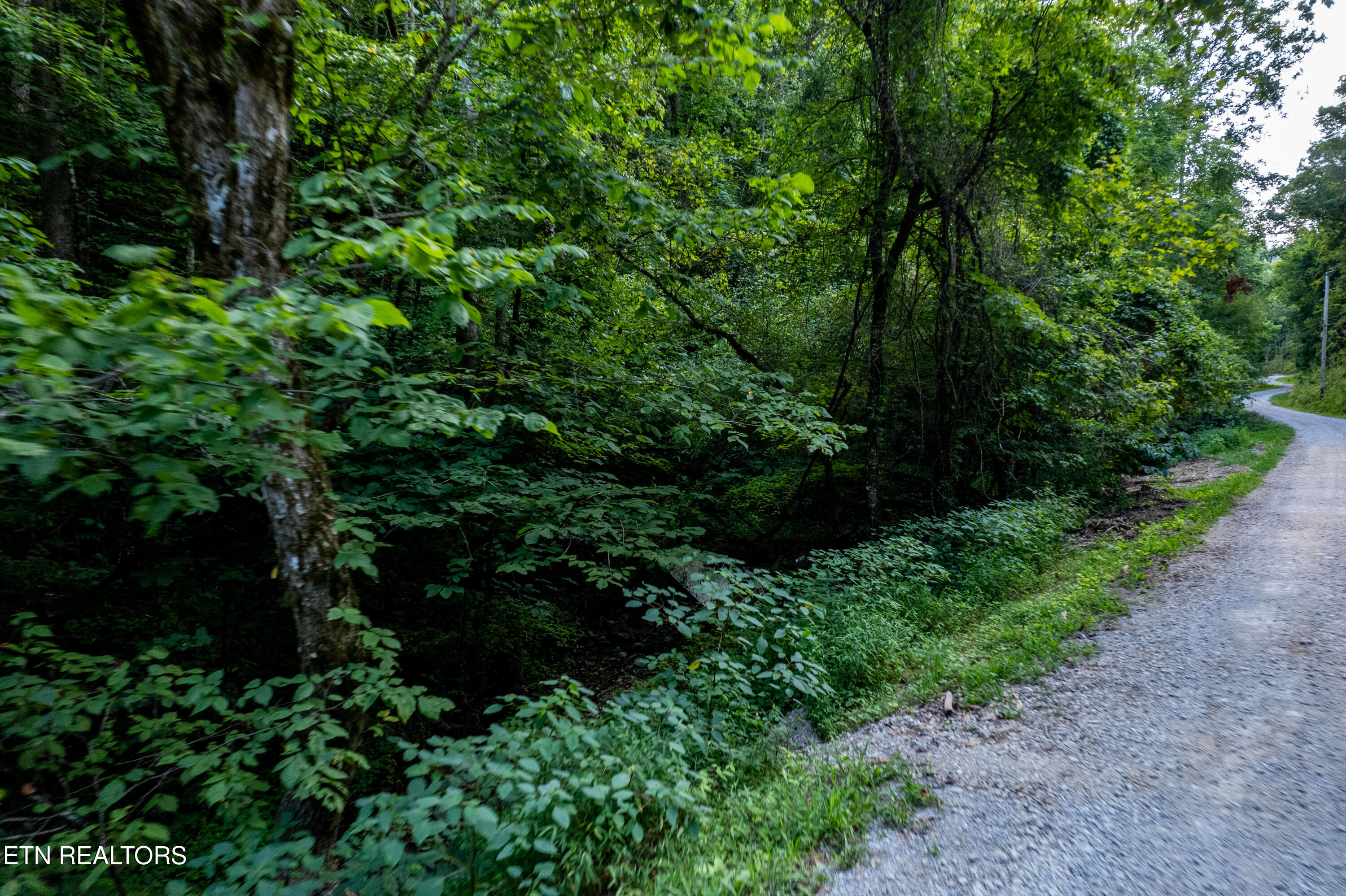 Hidden Hollow Way Sevierville TN 37862
