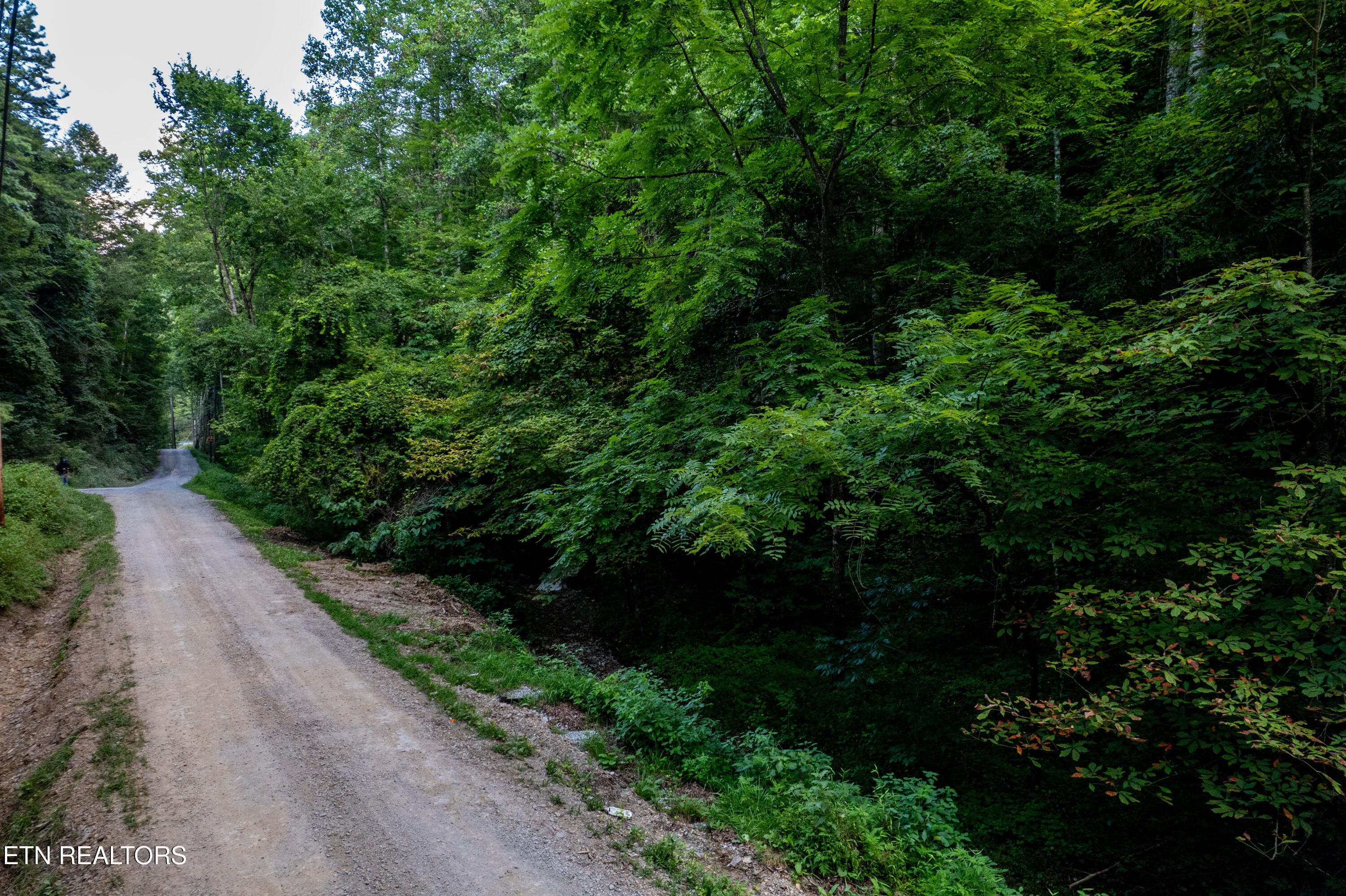 Hidden Hollow Way Sevierville TN 37862