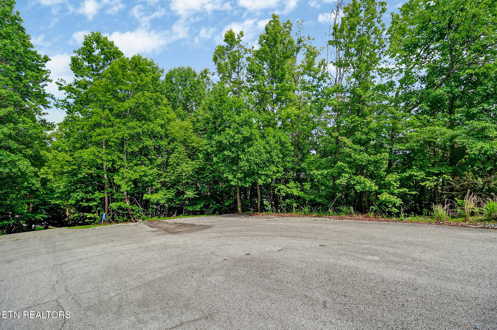 Overlook Drive - Lot 62 Rockwood TN 37854