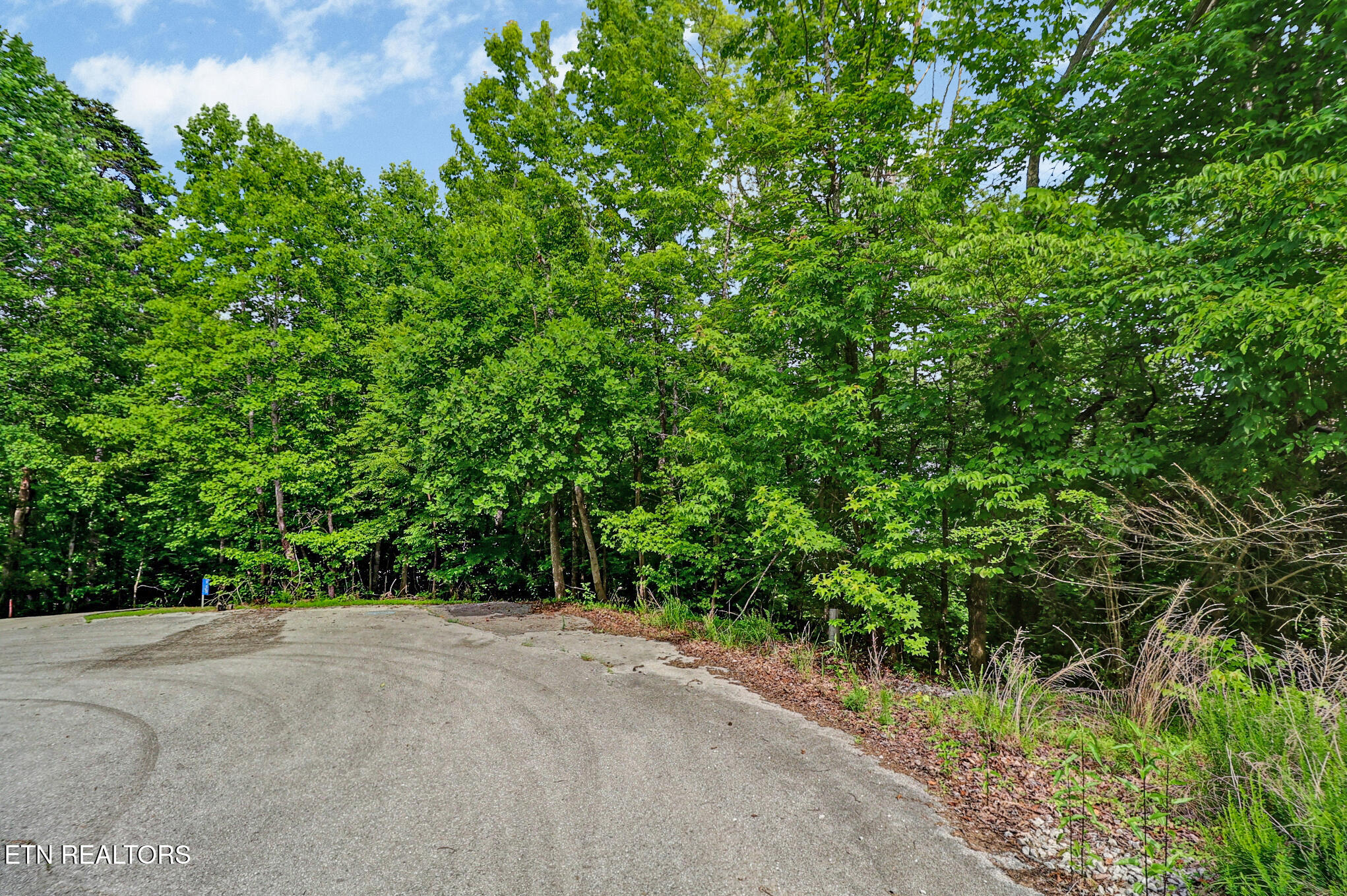 Overlook Drive - Lot 62 Rockwood TN 37854