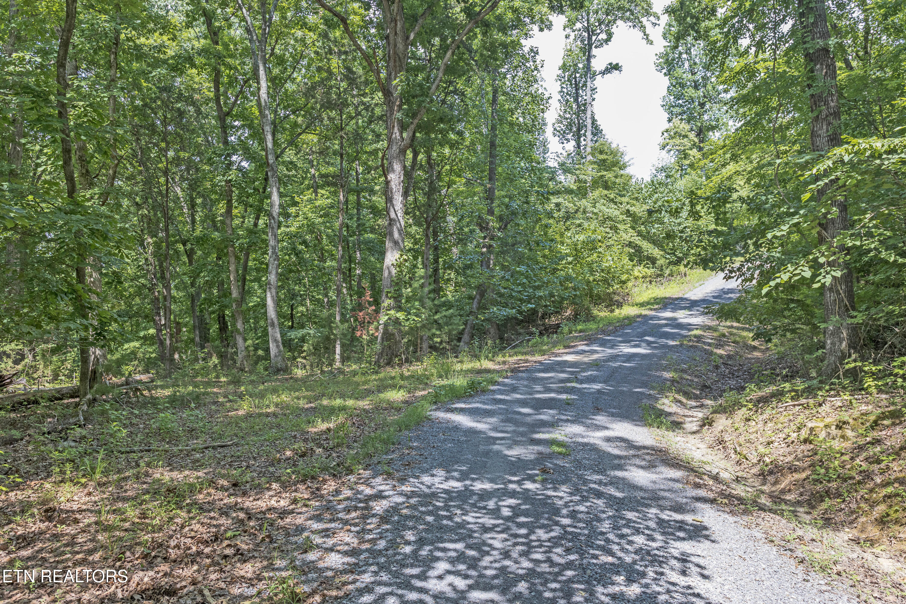 0 Half Moon Circle Spring City TN 37381