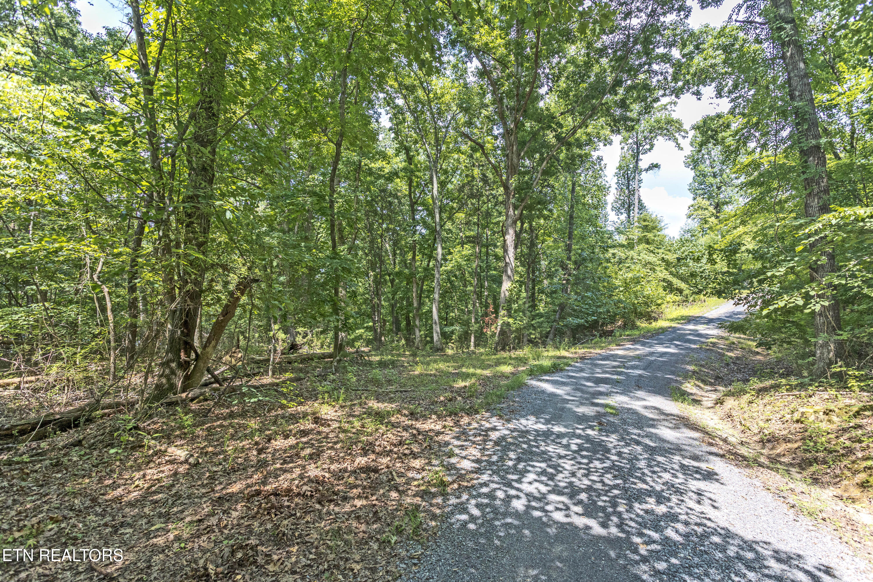 0 Half Moon Circle Spring City TN 37381