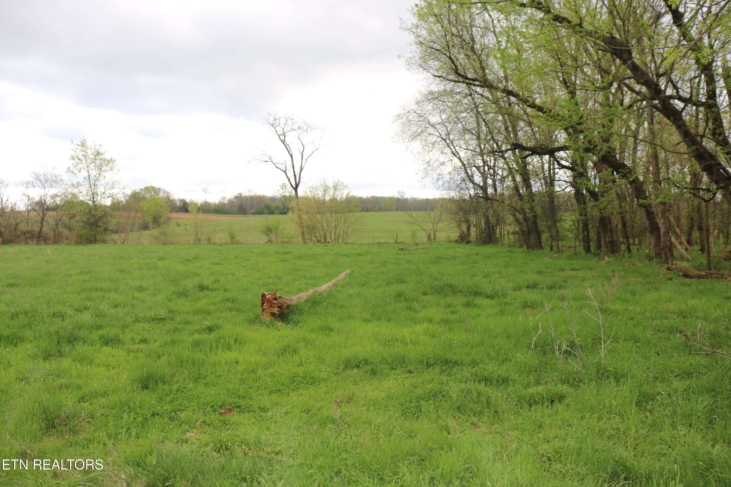 8.38 Acres Campground Road Madisonville TN 37354