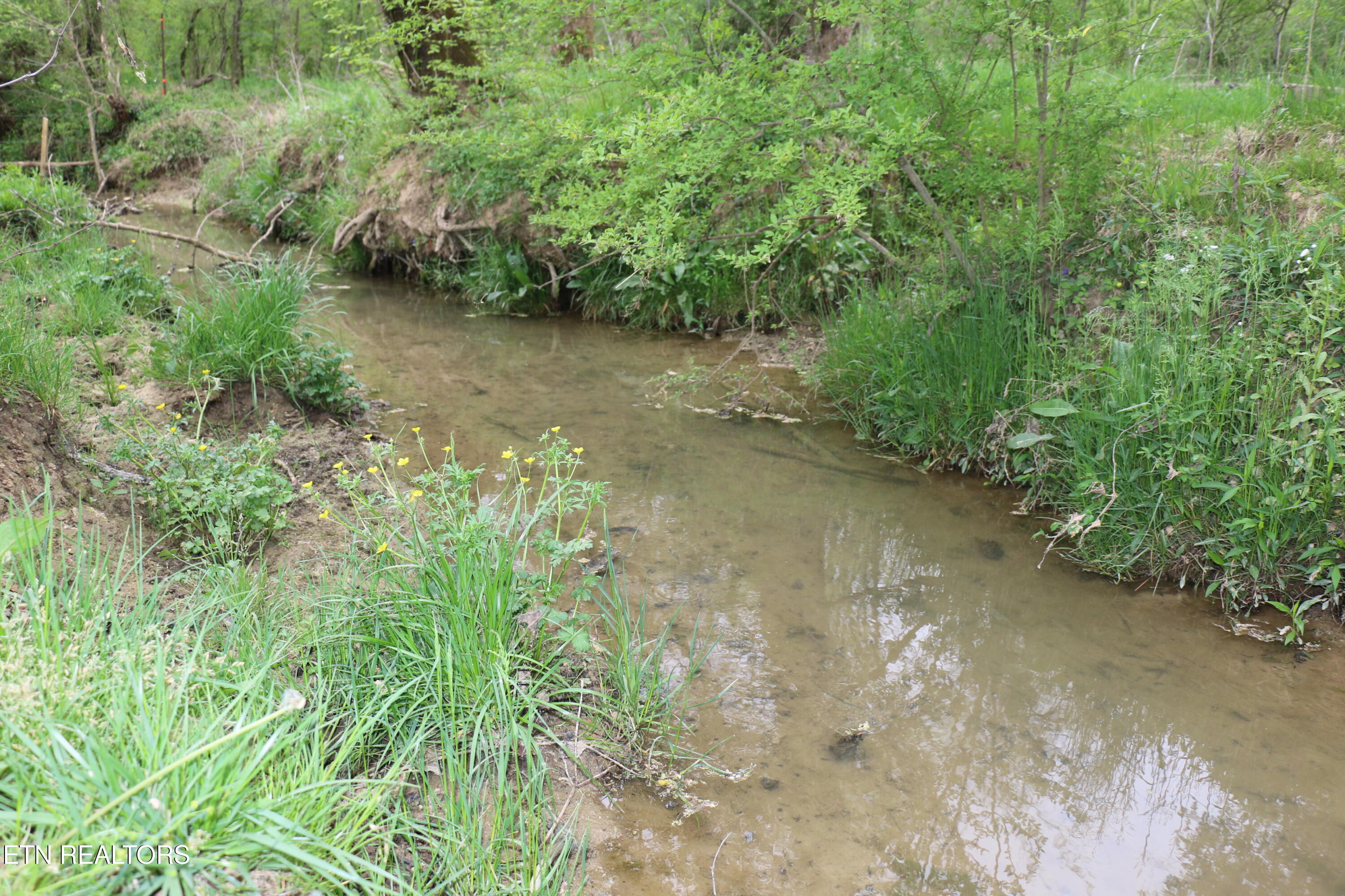 8.38 Acres Campground Road Madisonville TN 37354