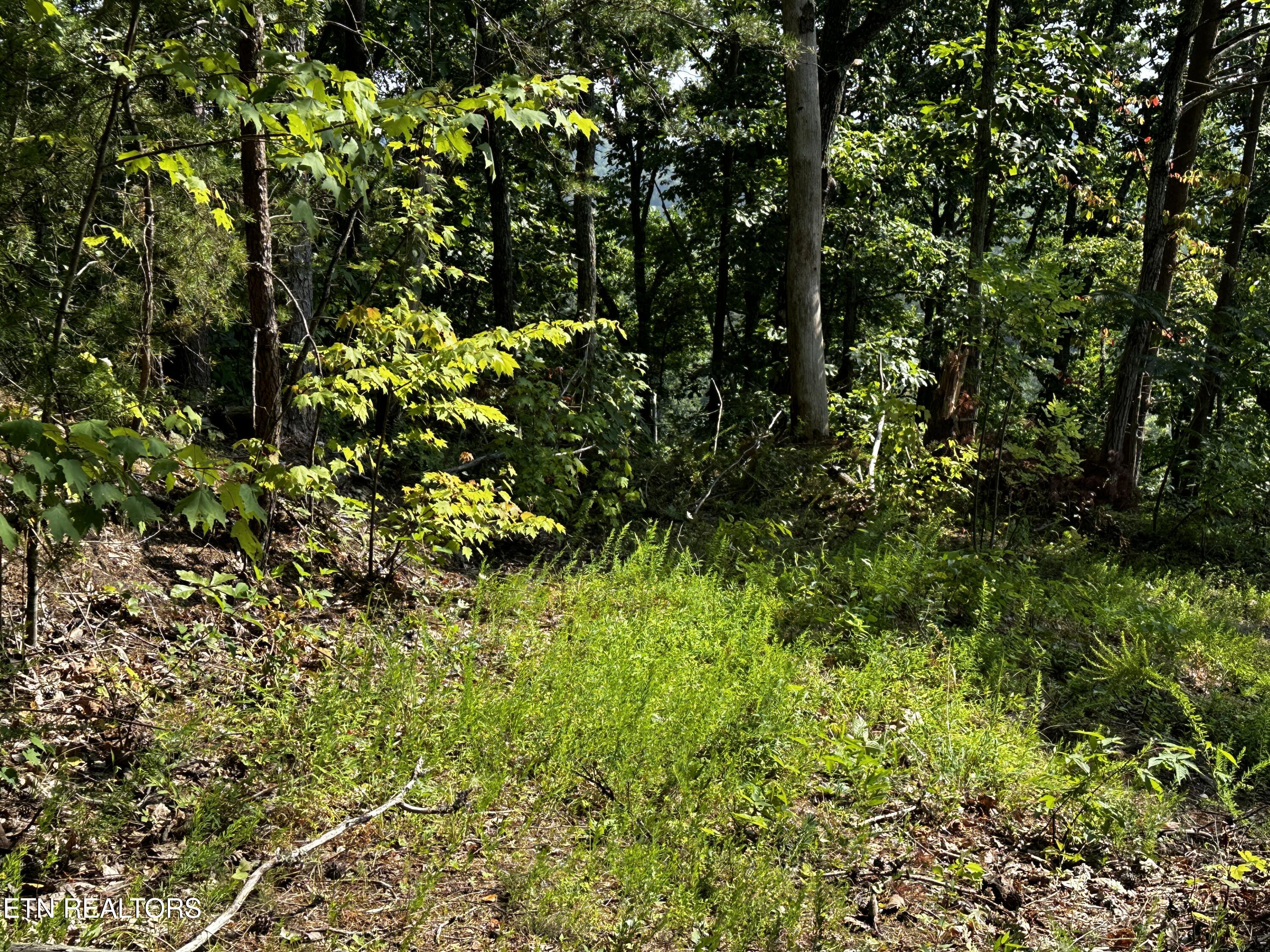 Huckleberry Way Sevierville TN 37862