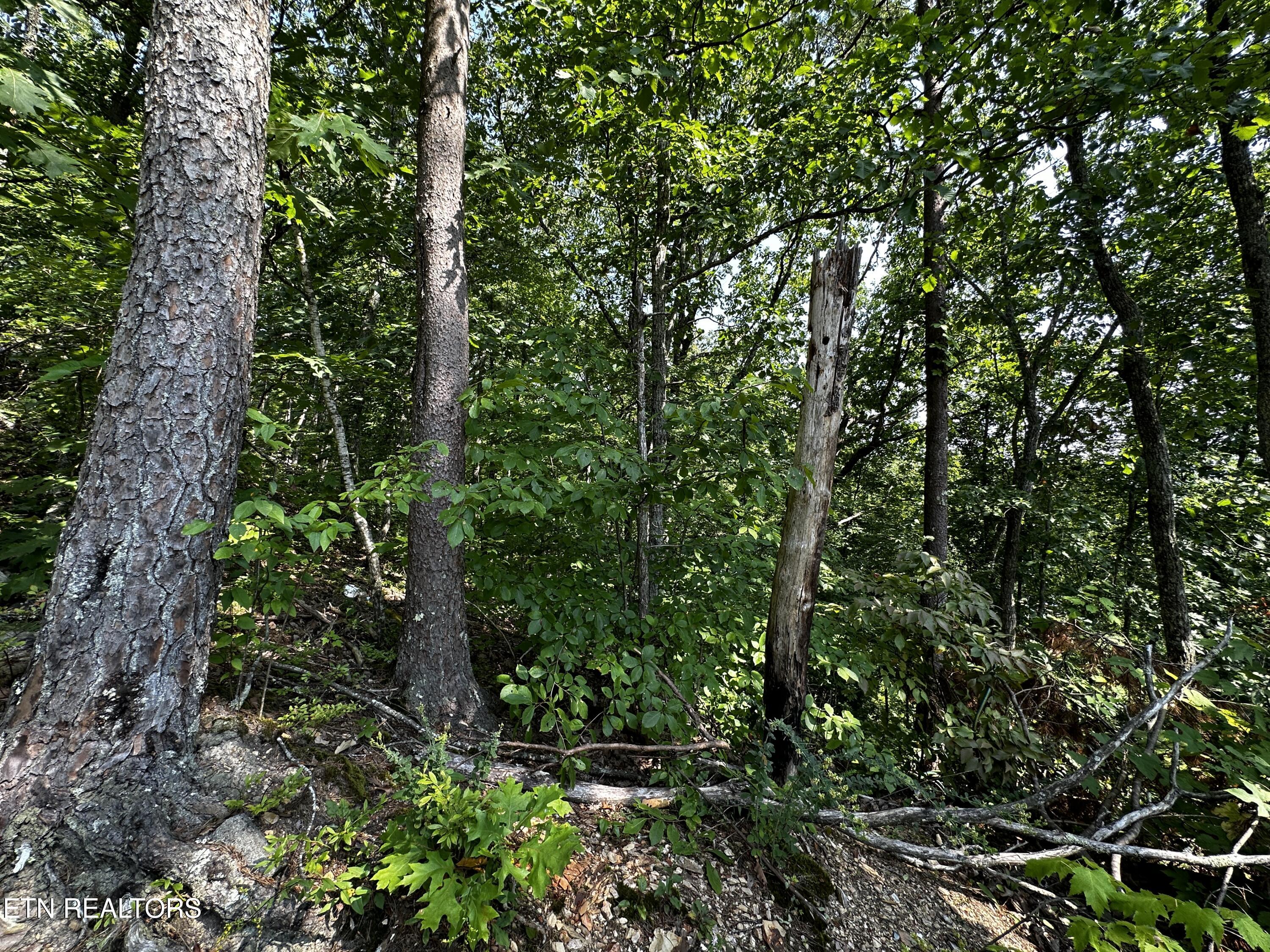 Huckleberry Way Sevierville TN 37862