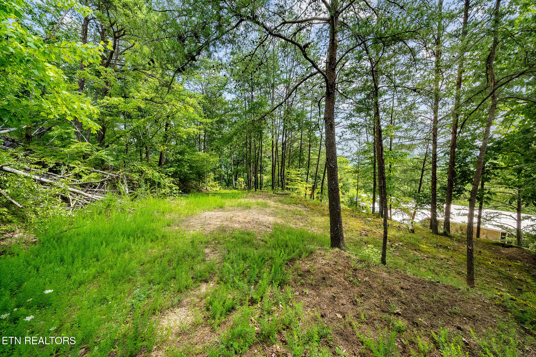Huckleberry Way Sevierville TN 37862