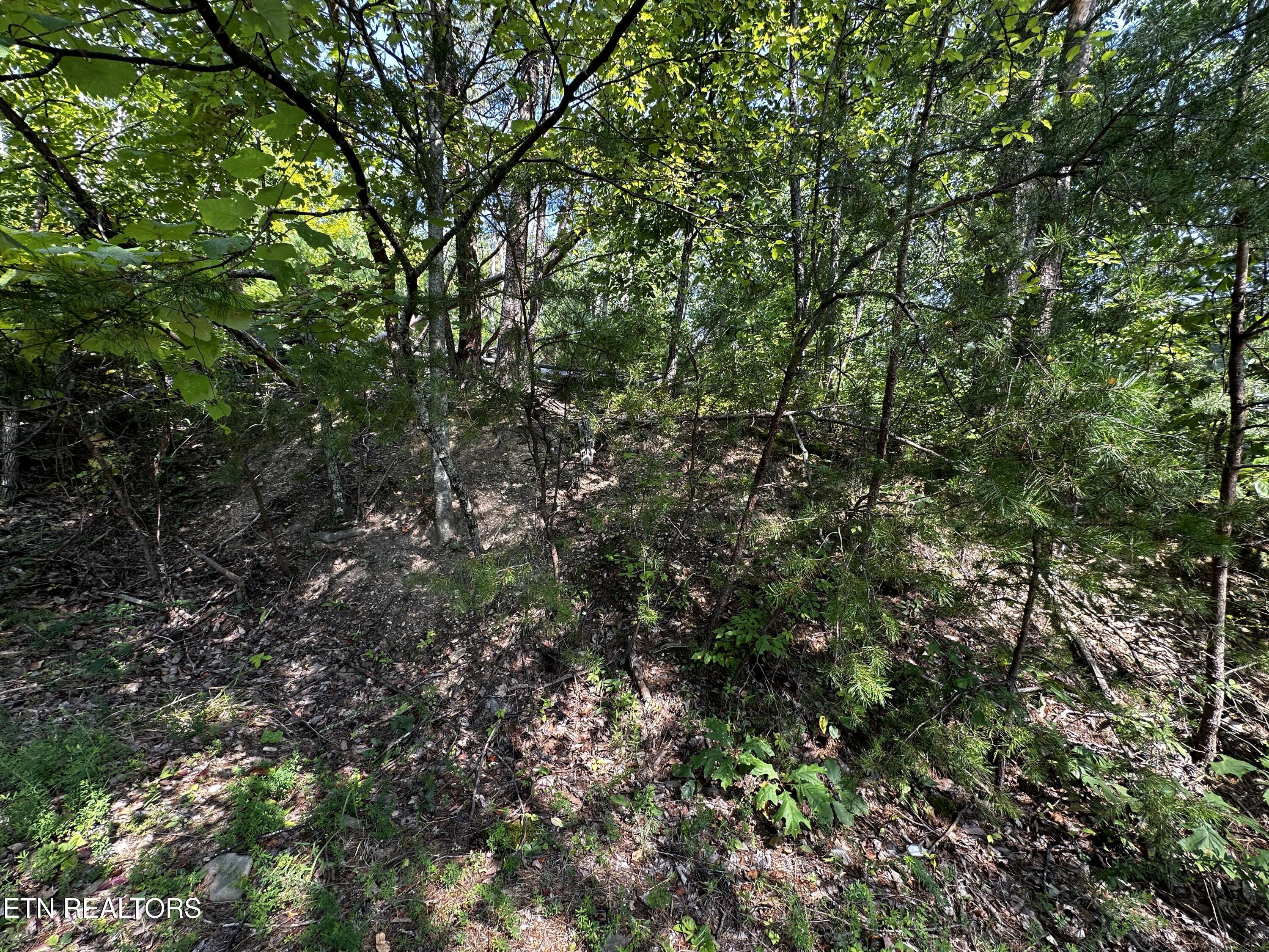 Huckleberry Way Sevierville TN 37862