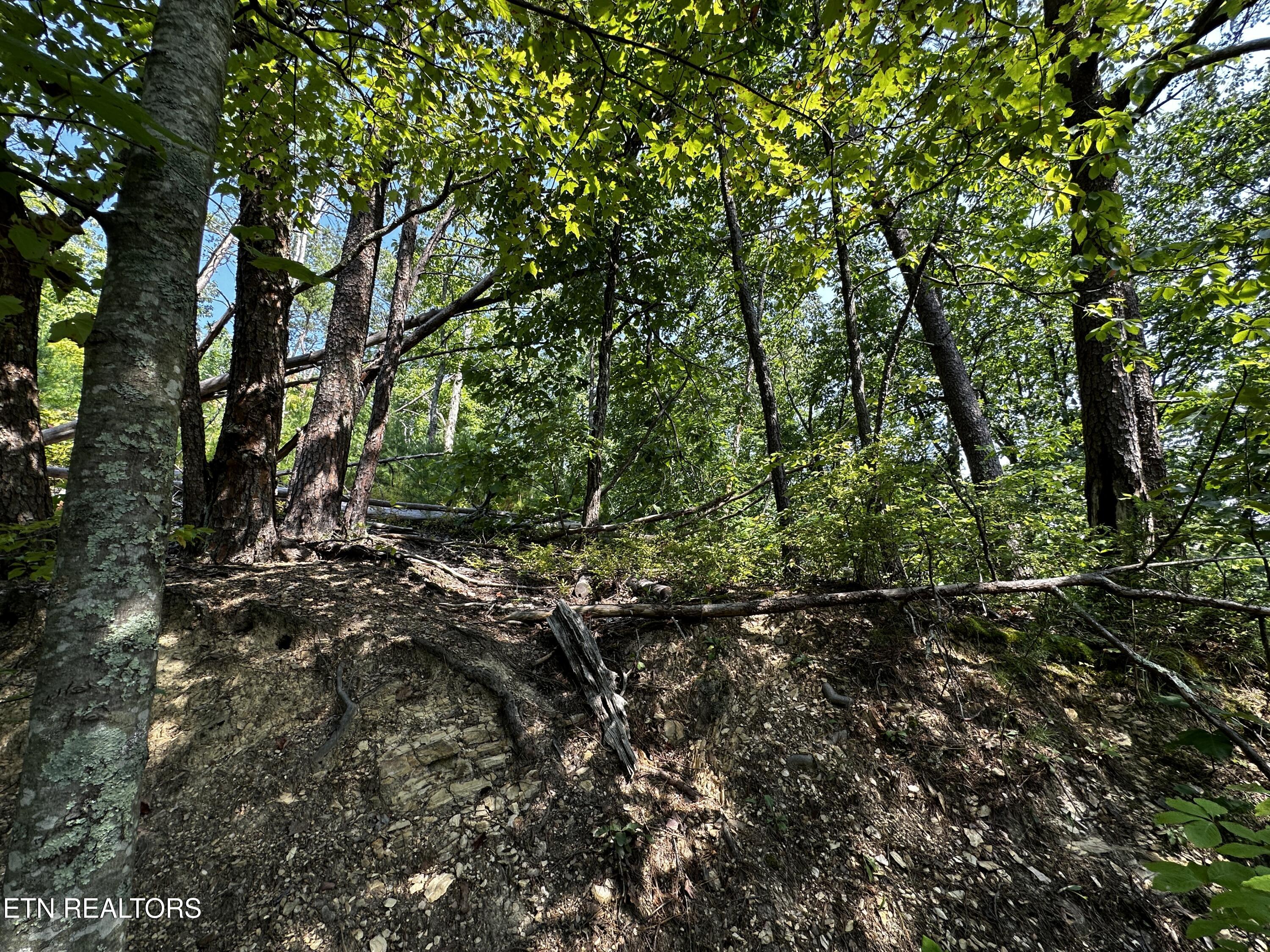 Huckleberry Way Sevierville TN 37862
