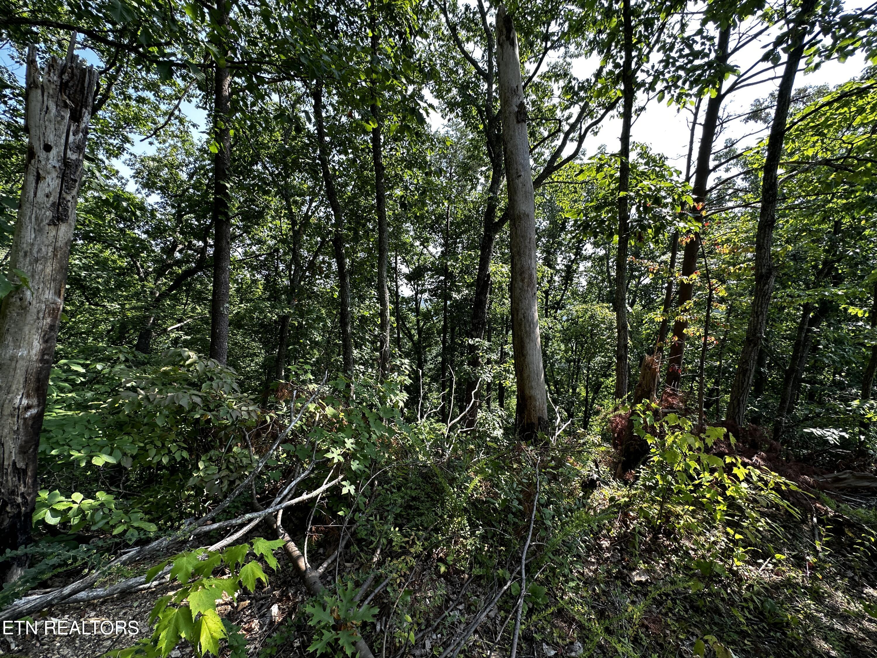 Huckleberry Way Sevierville TN 37862