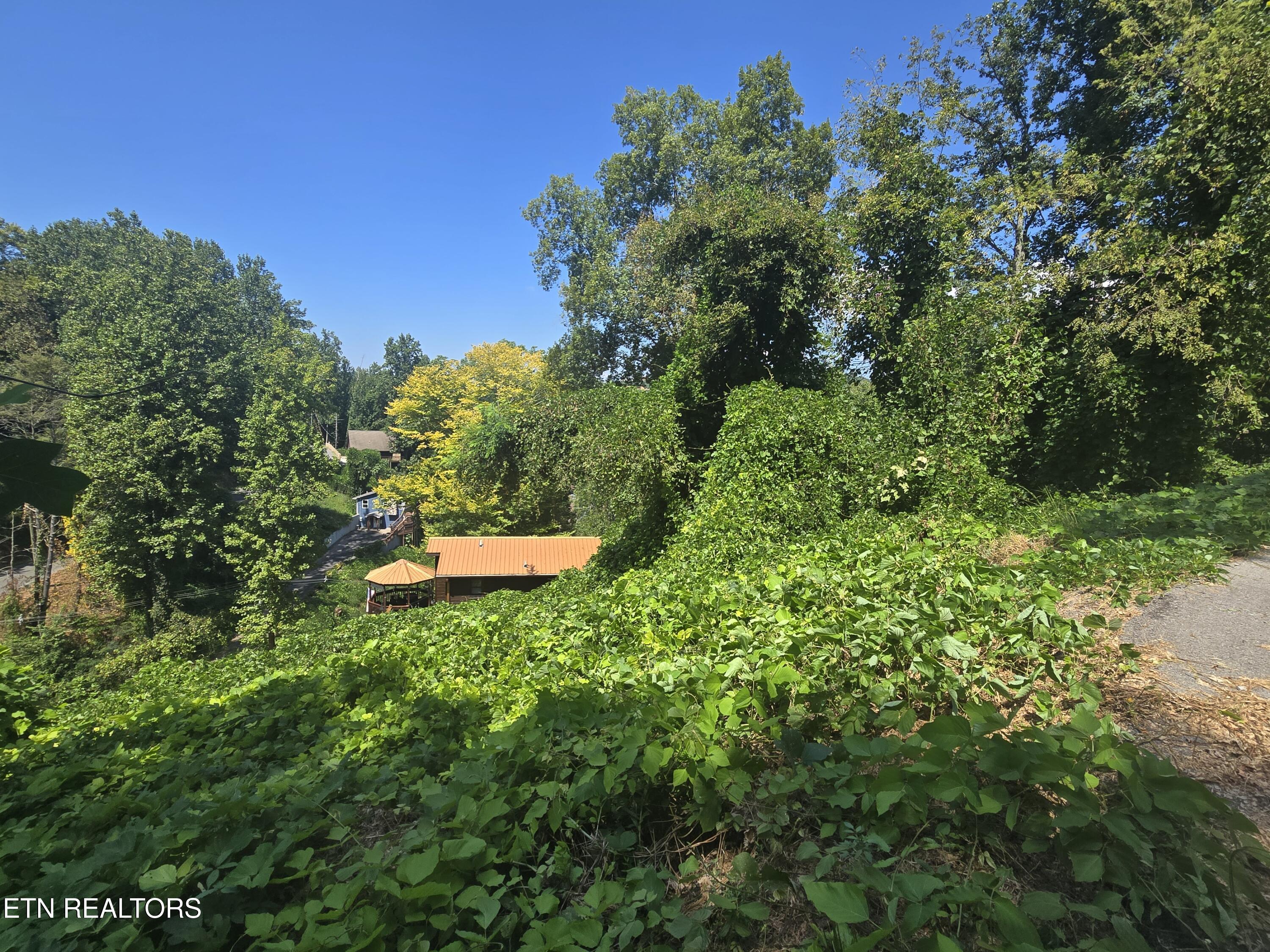 431 W Loop Road Gatlinburg TN 37738