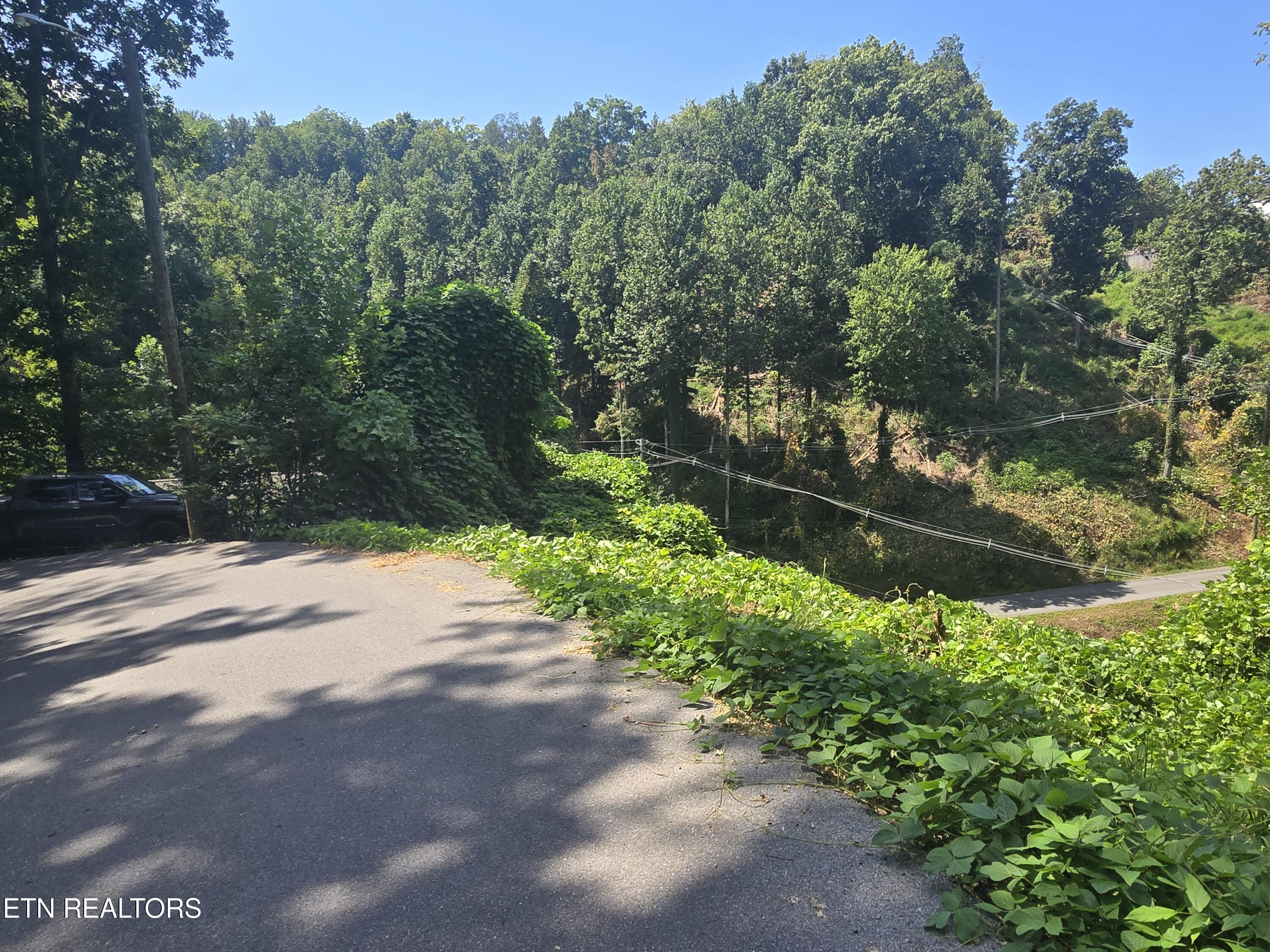 431 W Loop Road Gatlinburg TN 37738