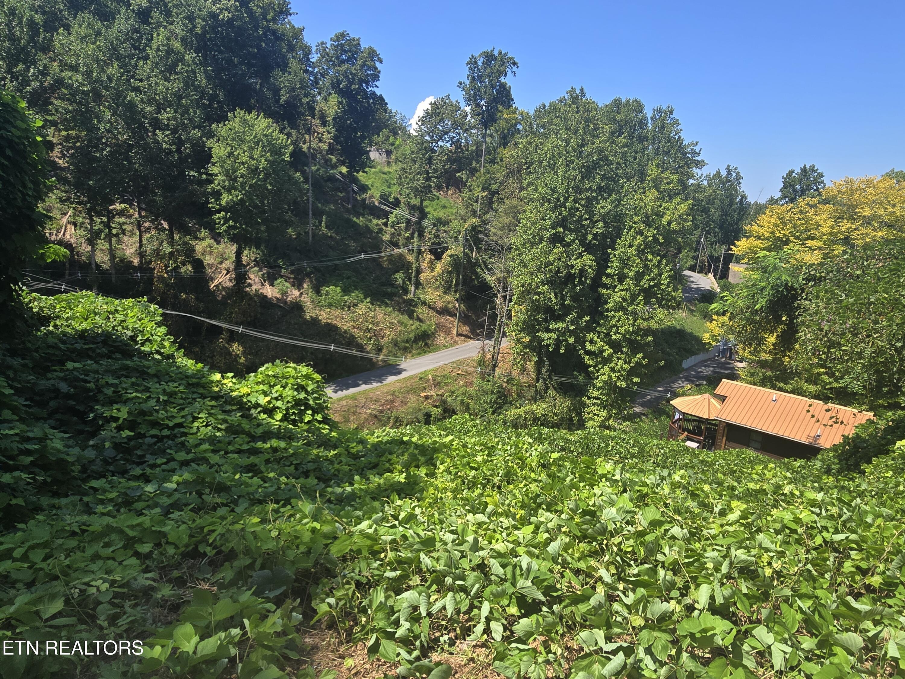 431 W Loop Road Gatlinburg TN 37738