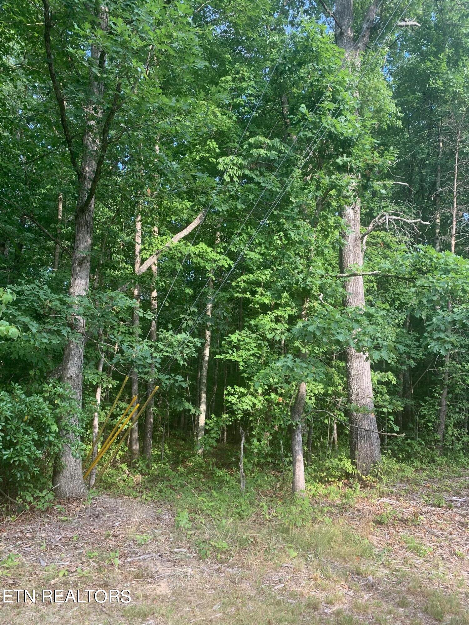 Arrow Trail Monterey TN 38574