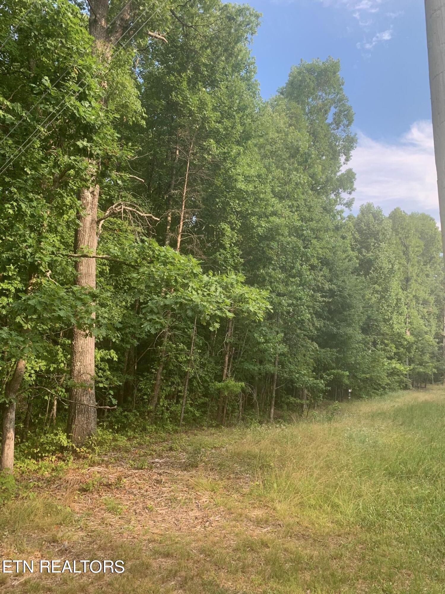 Arrow Trail Monterey TN 38574