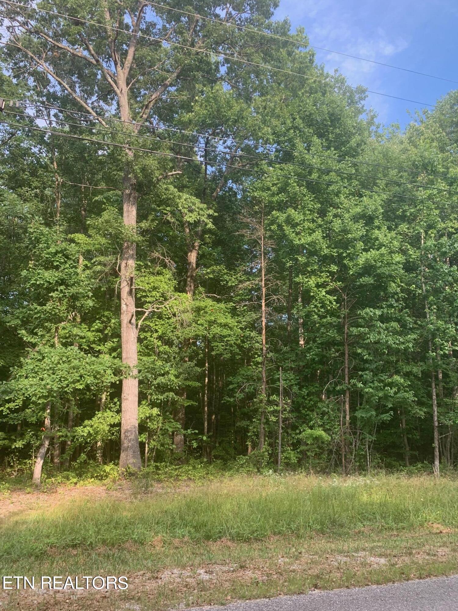 Arrow Trail Monterey TN 38574