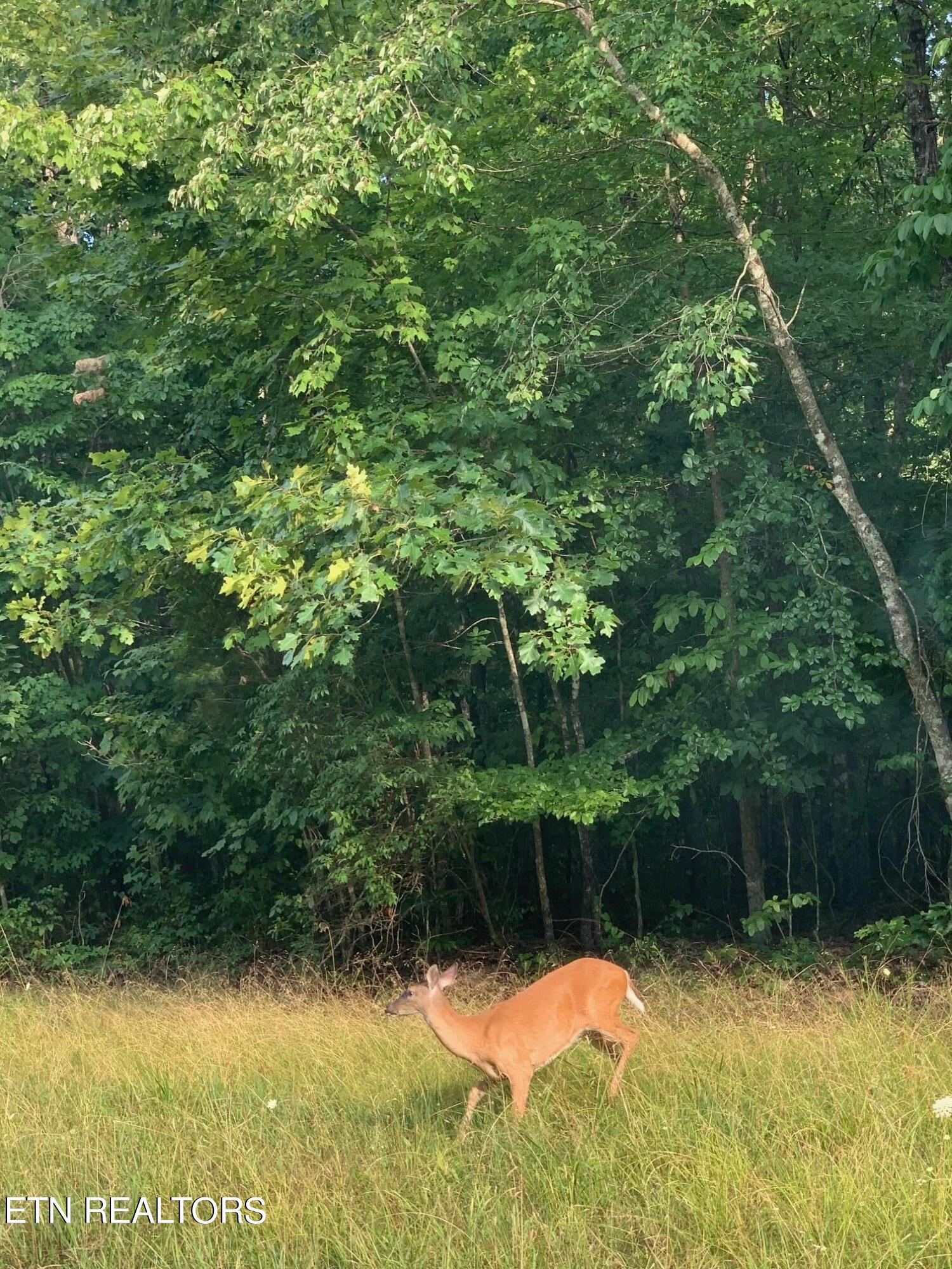 Arrow Trail Monterey TN 38574