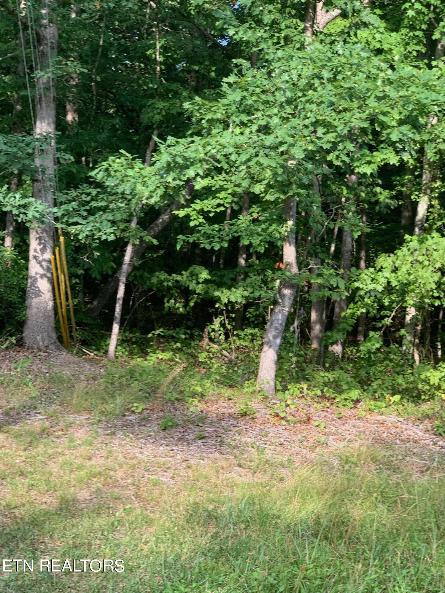 Arrow Trail Monterey TN 38574