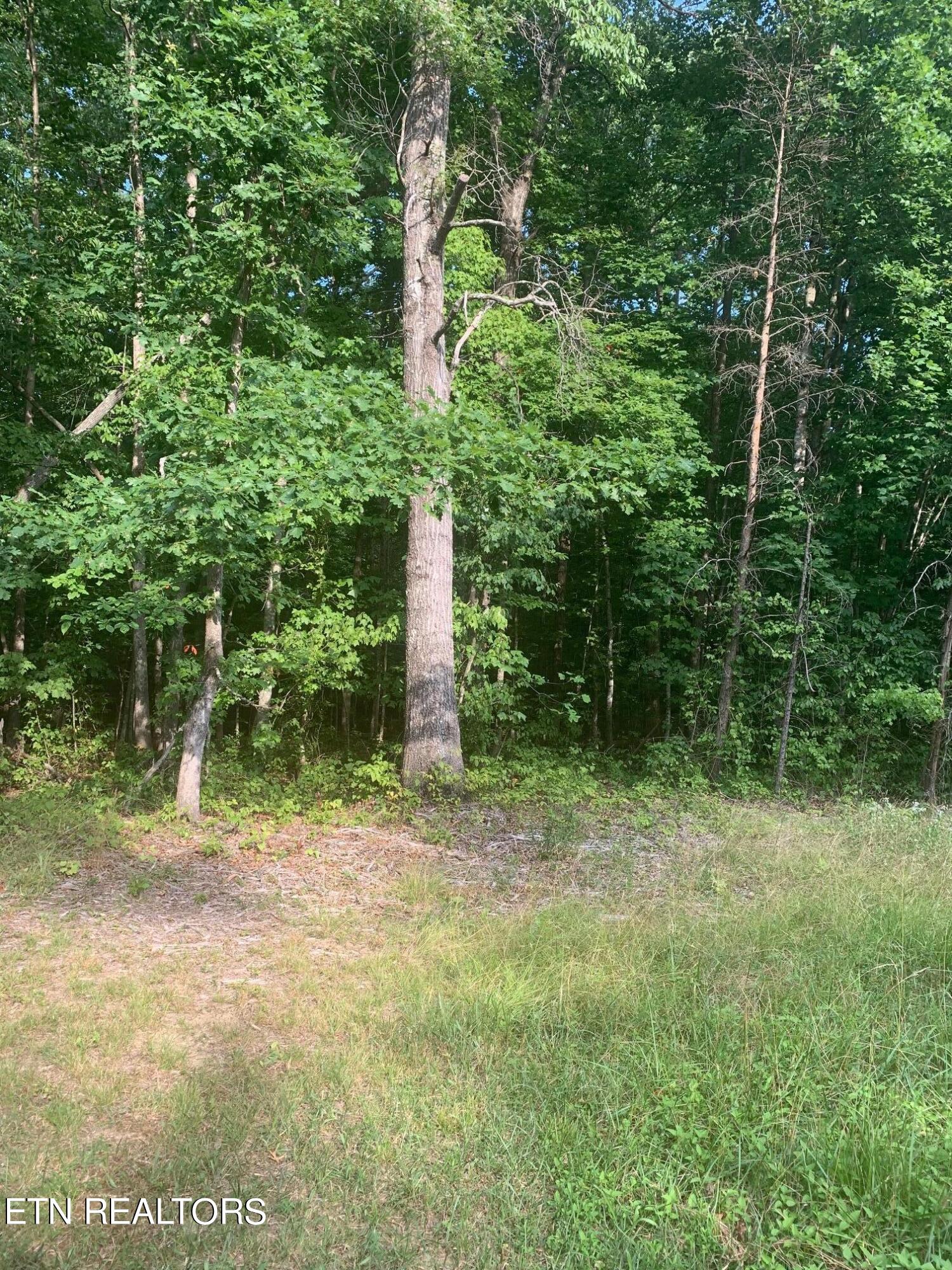 Arrow Trail Monterey TN 38574