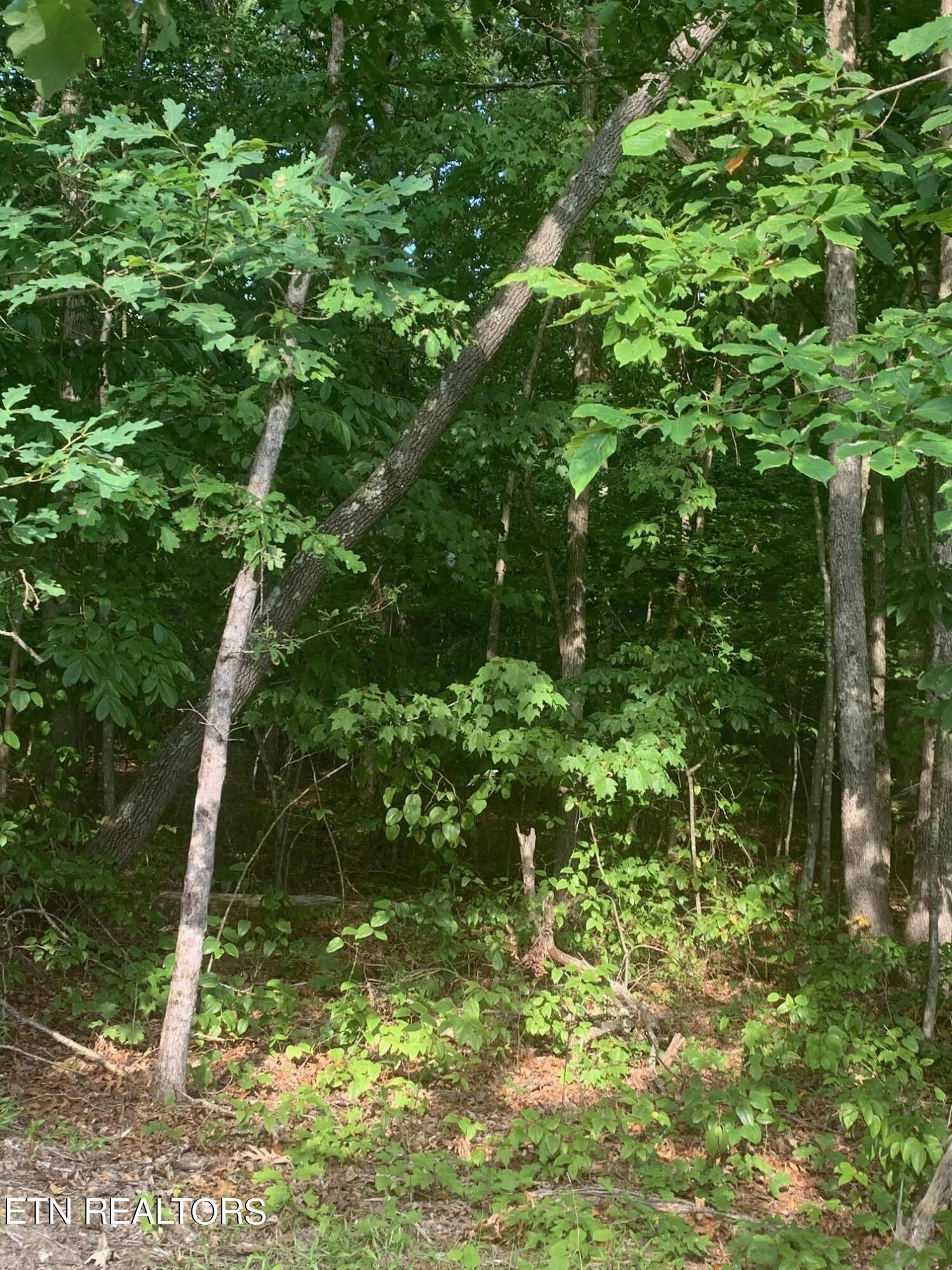 Arrow Trail Monterey TN 38574