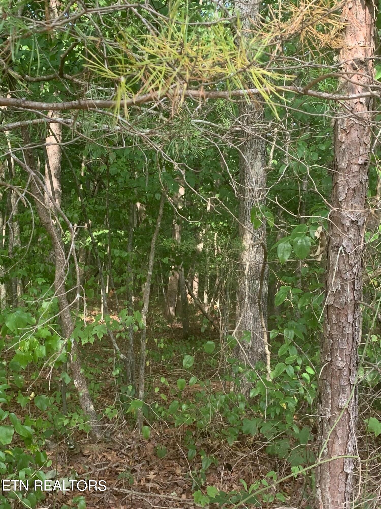 Arrow Trail Monterey TN 38574
