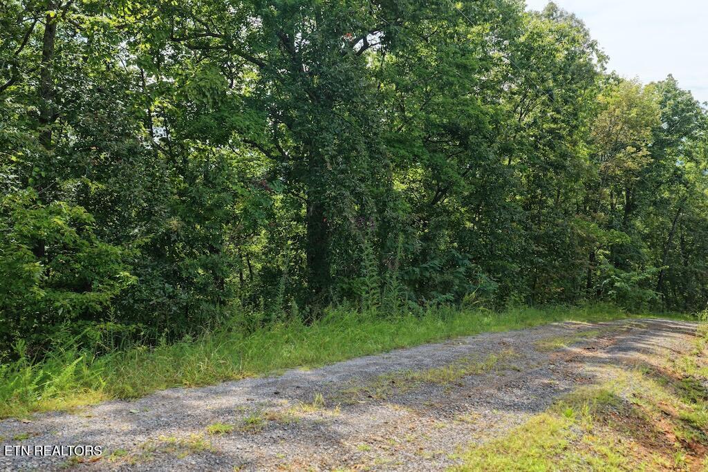 Lot 27 Shady Oaks Way Sevierville TN 37876