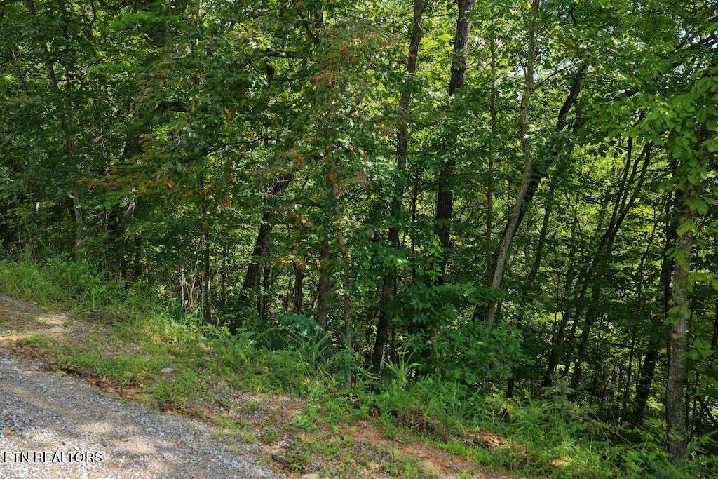 Lot 27 Shady Oaks Way Sevierville TN 37876