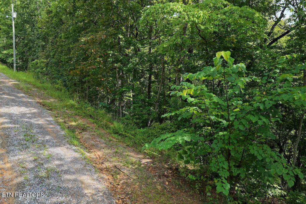 Lot 27 Shady Oaks Way Sevierville TN 37876