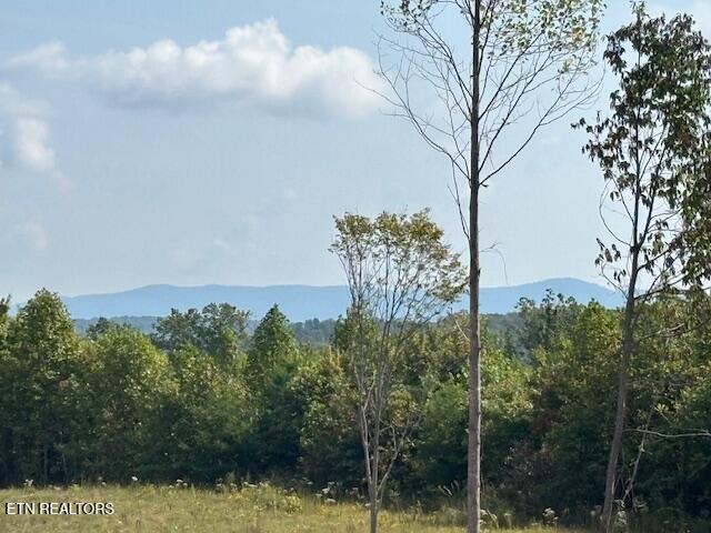 Otis Davis Road Pikeville TN 37367