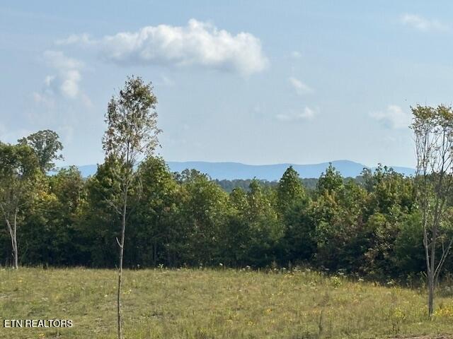 Otis Davis Road Pikeville TN 37367