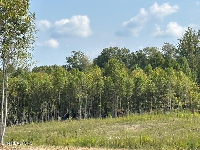 Otis Davis Road Pikeville TN 37367