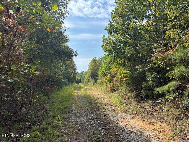 Otis Davis Road Pikeville TN 37367