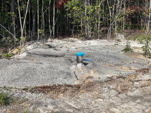 Otis Davis Road Pikeville TN 37367