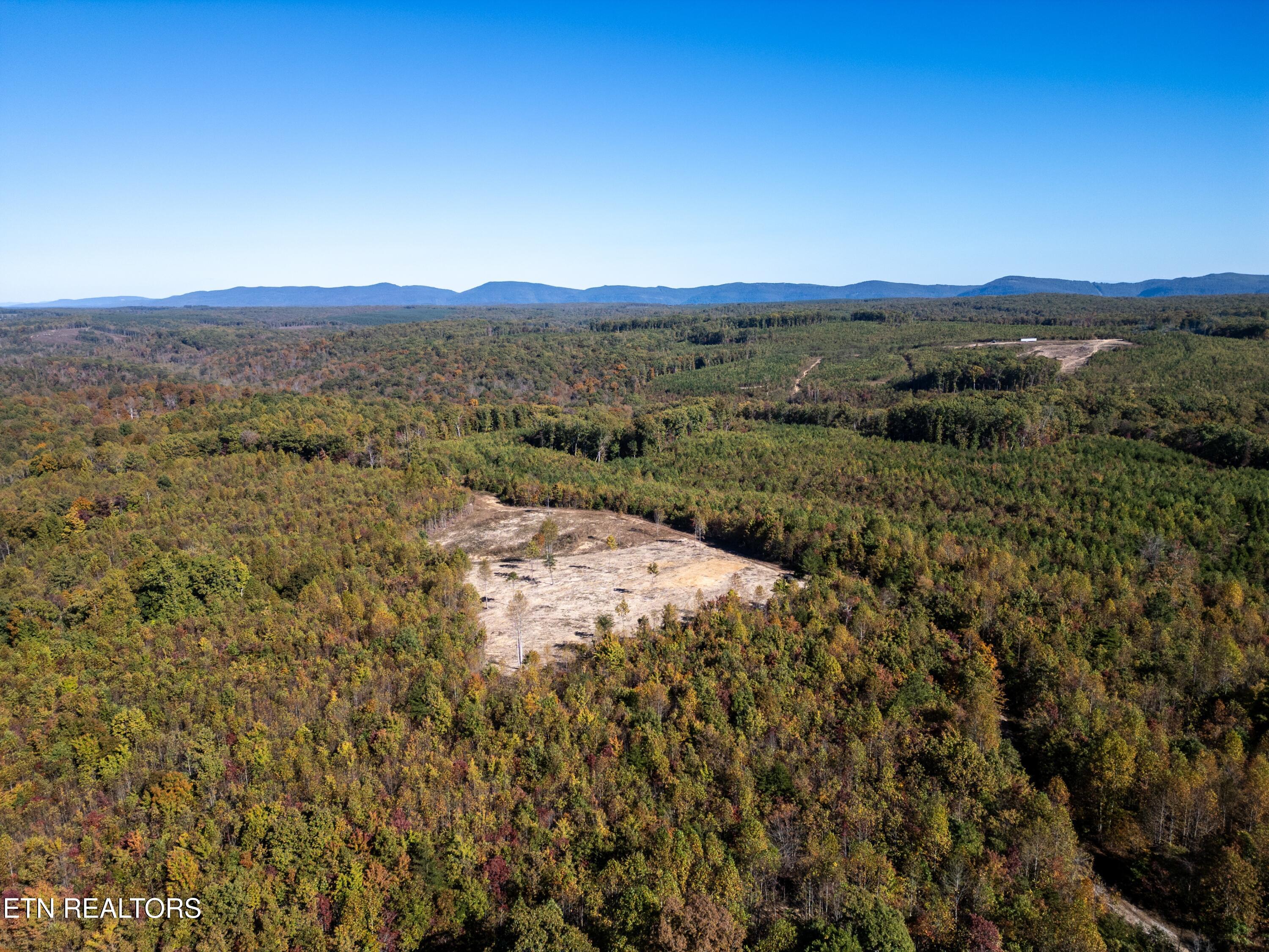 Otis Davis Road Pikeville TN 37367