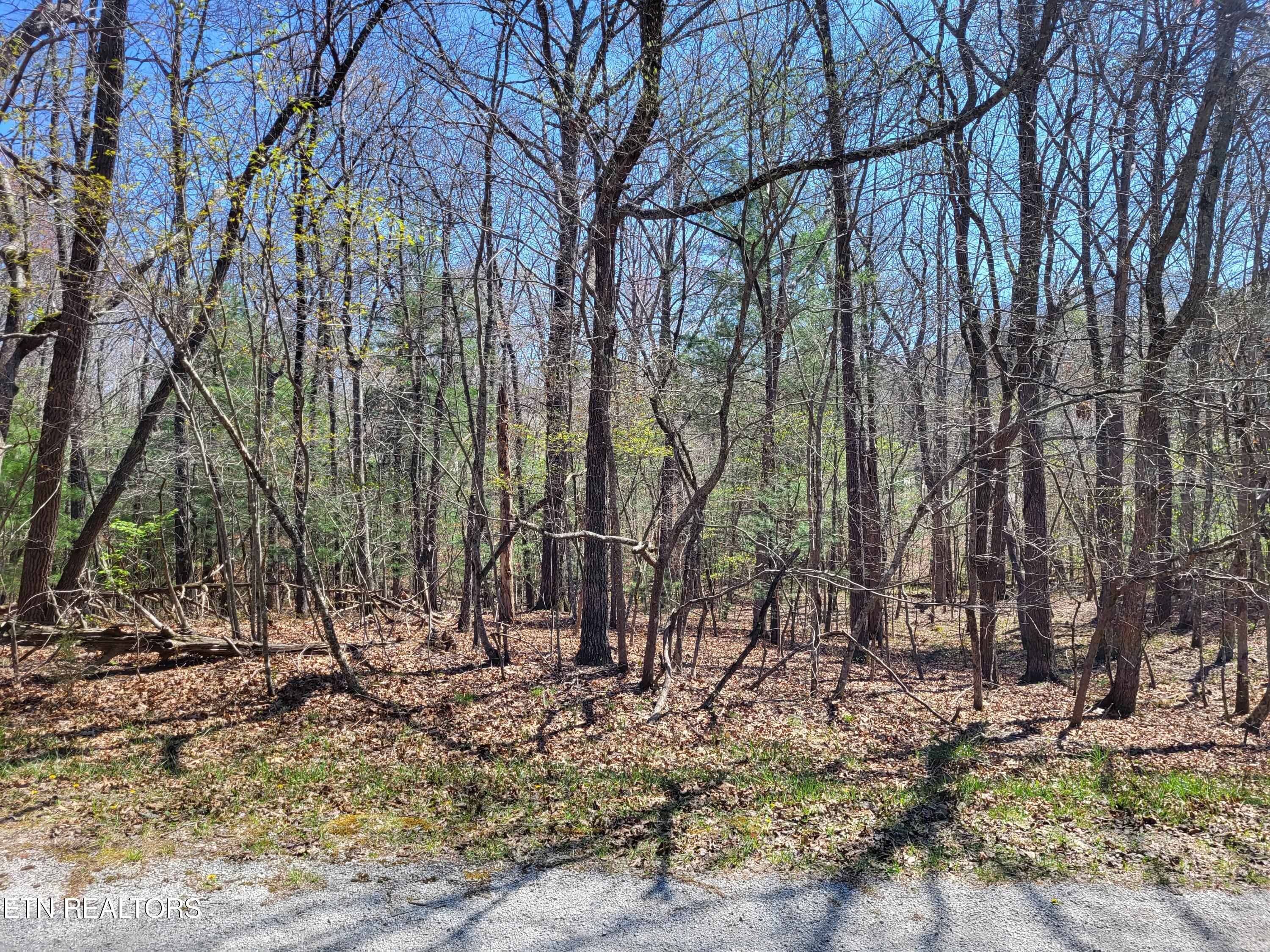 114 Dalefield Loop Crossville TN 38558
