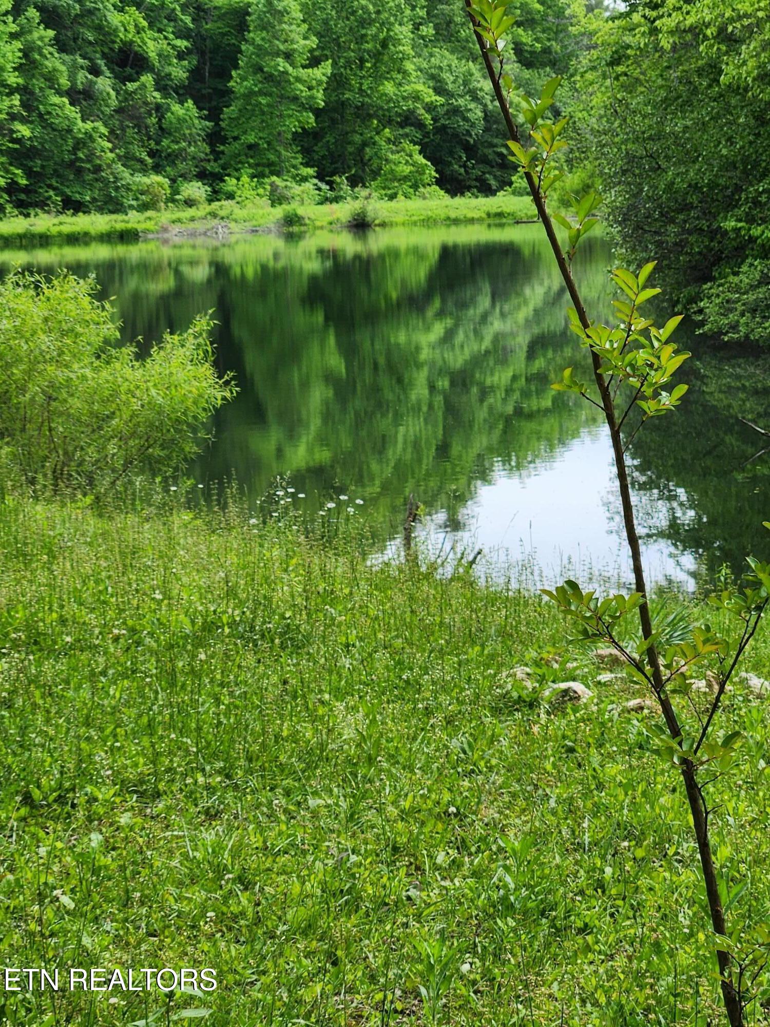 380 Seng Garden Road Tellico Plains TN 37385