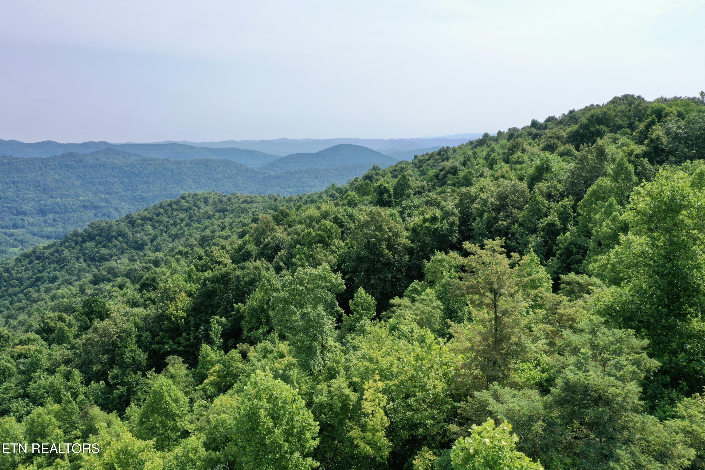 Wool Lane Jellico TN 37762