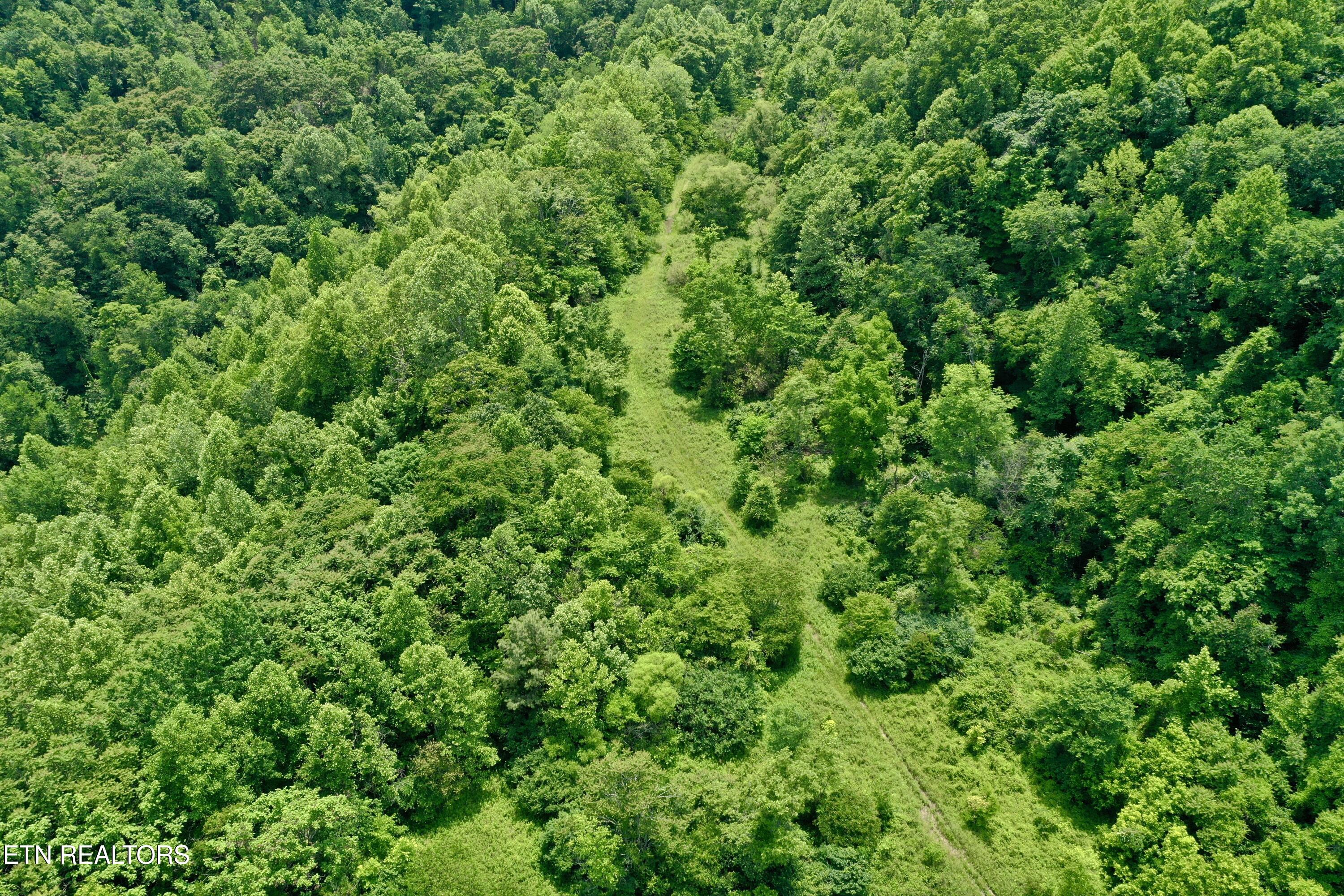 Wool Lane Jellico TN 37762