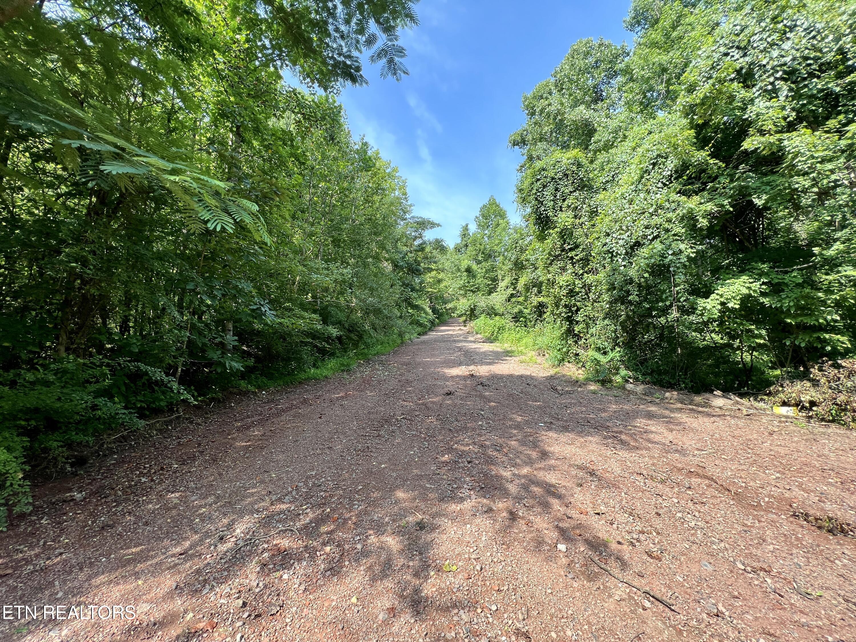 Wool Lane Jellico TN 37762