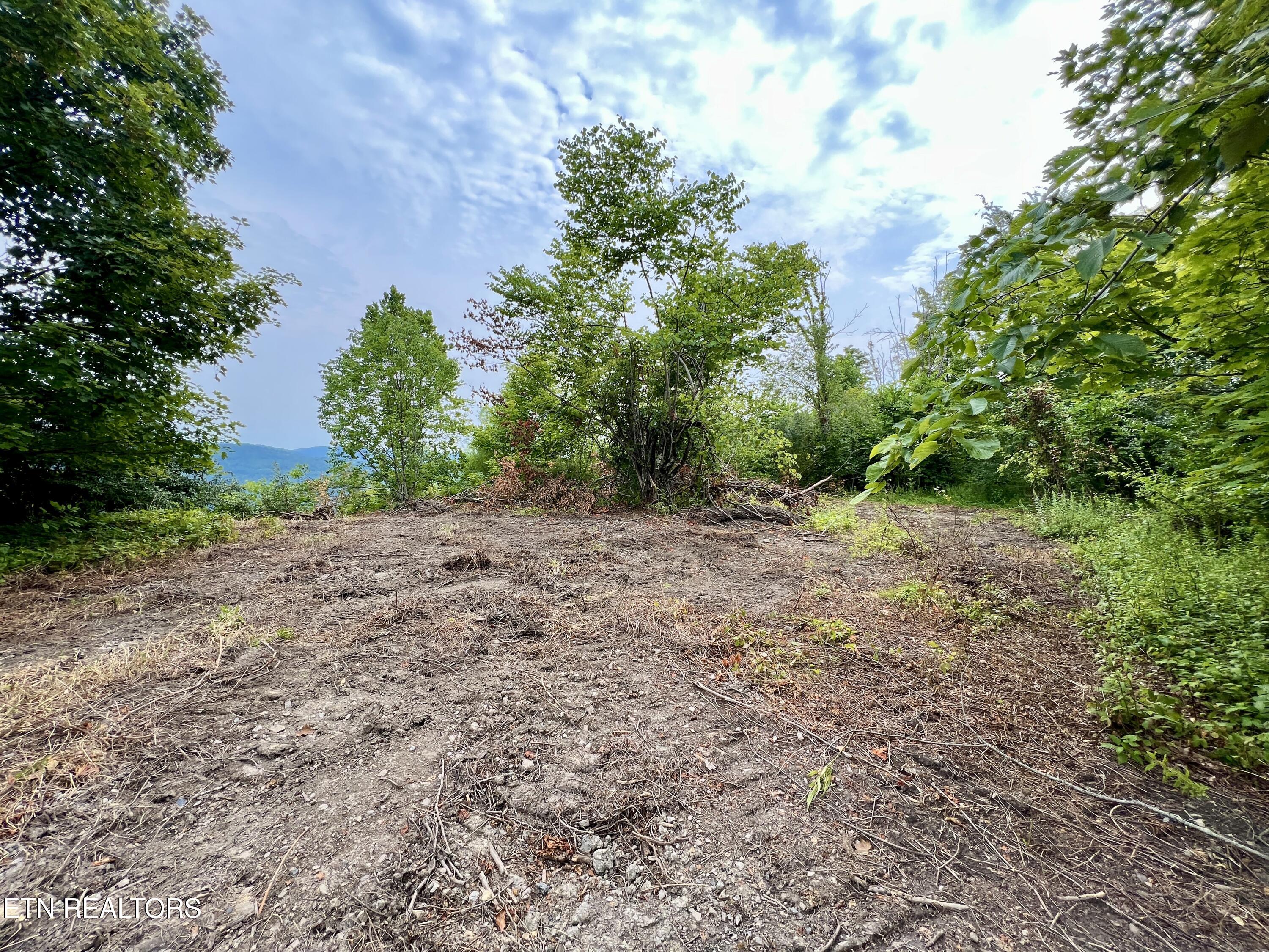 Wool Lane Jellico TN 37762