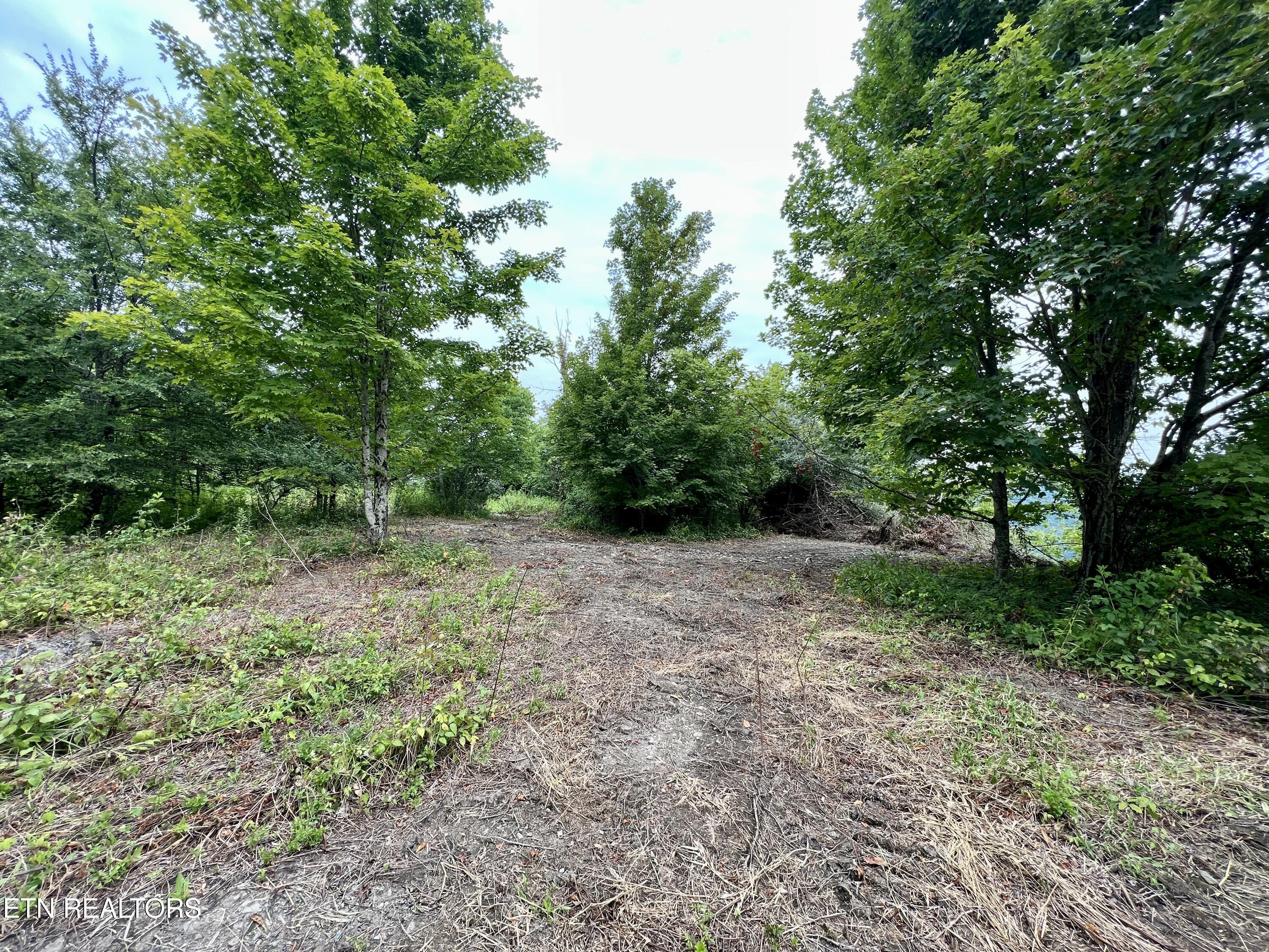 Wool Lane Jellico TN 37762