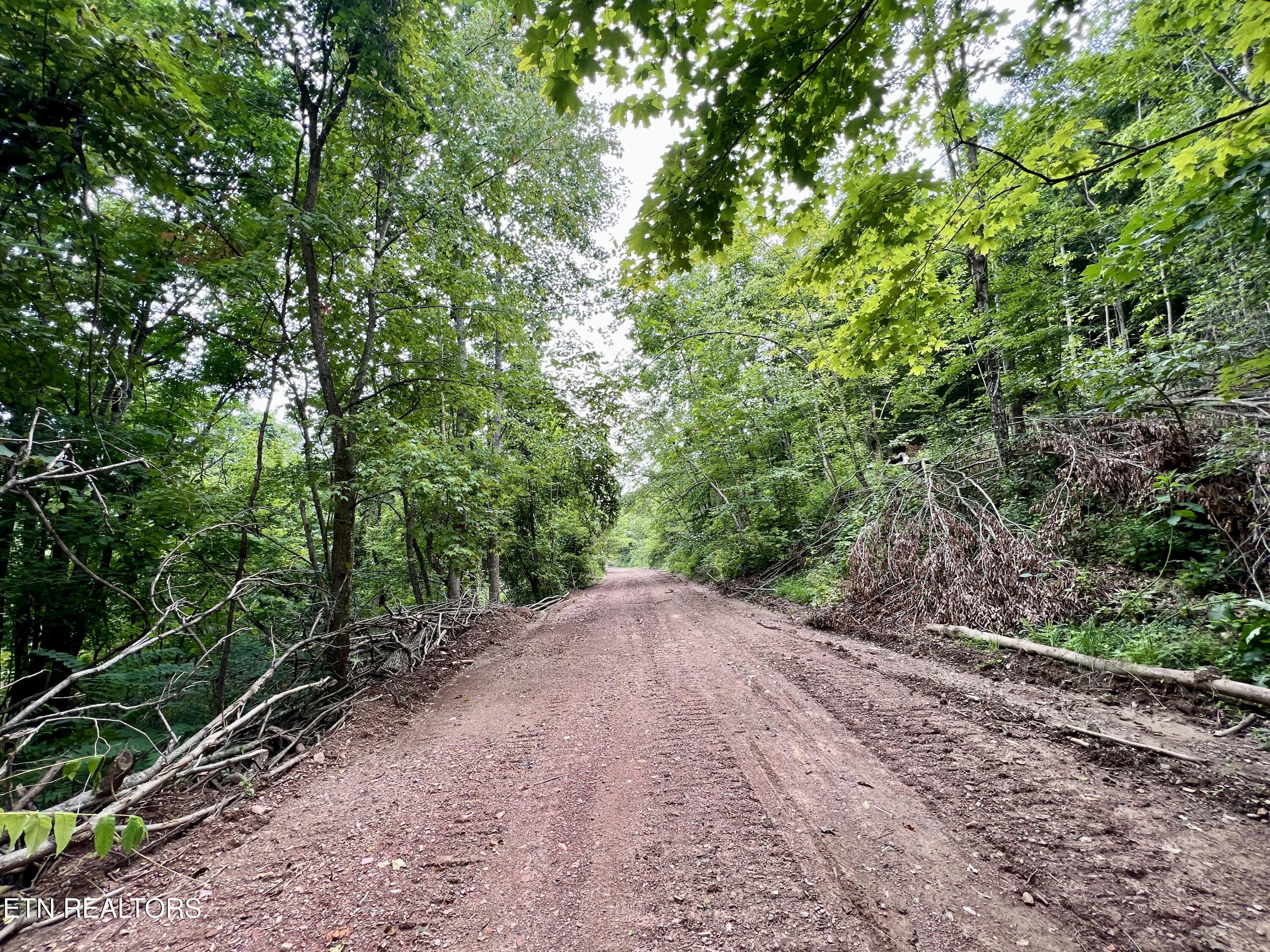 Wool Lane Jellico TN 37762