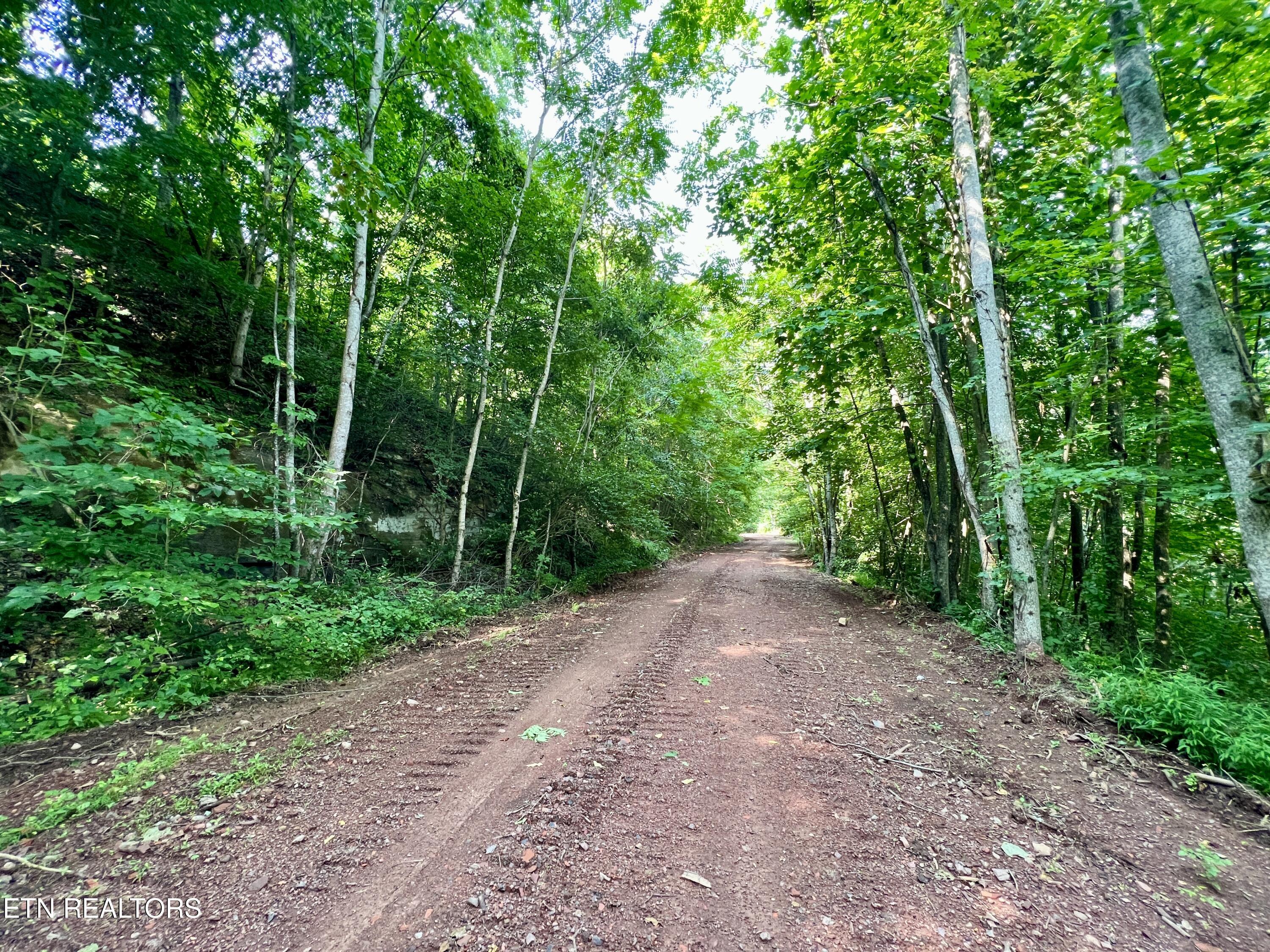 Wool Lane Jellico TN 37762